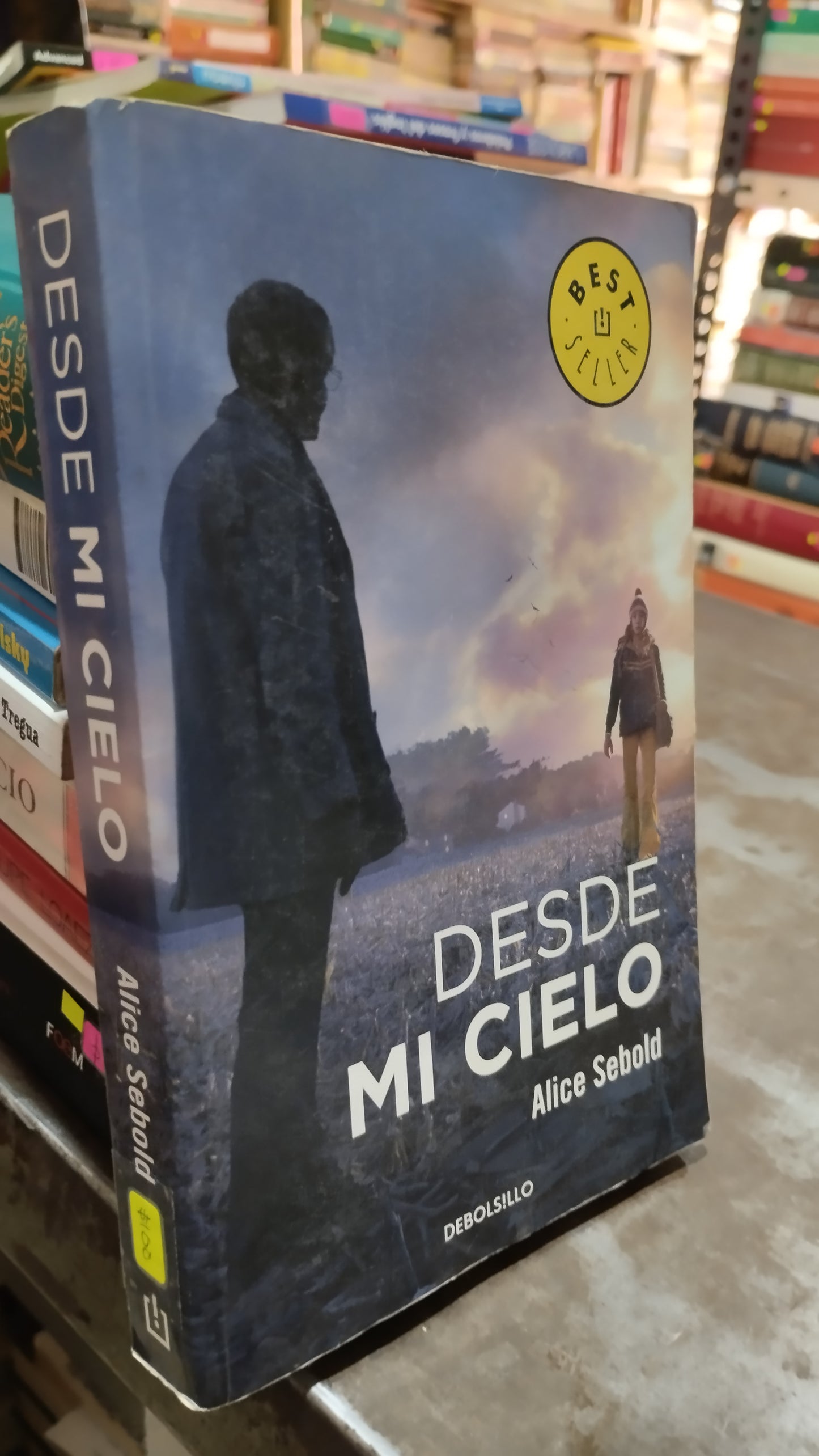 DESDE MI CIELO POR ALICE SEBOLD LIBRO USADO NOVELAS ALDAMA