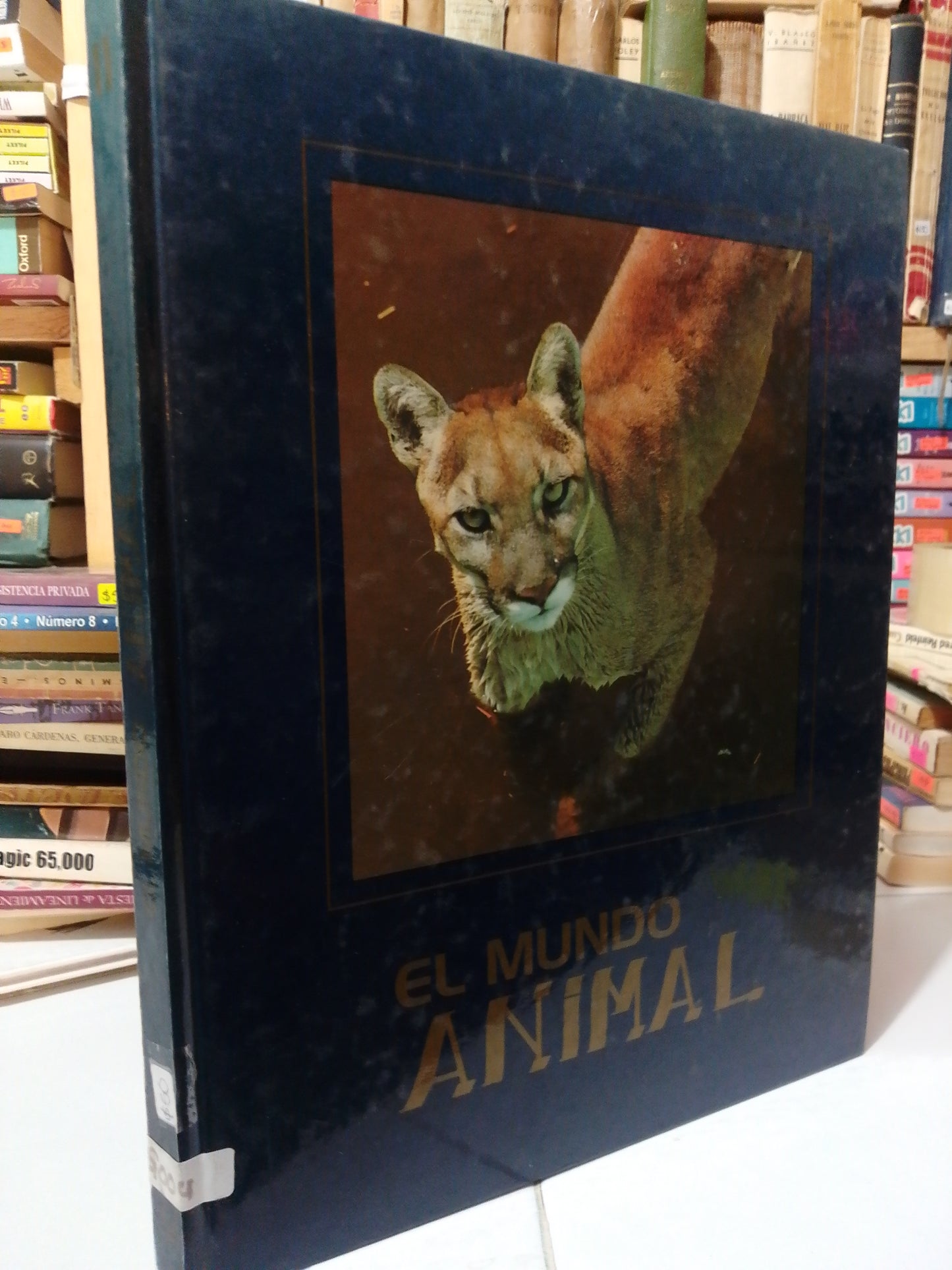 EL MUNDO ANIMAL USADO HISTORIA JUAREZ