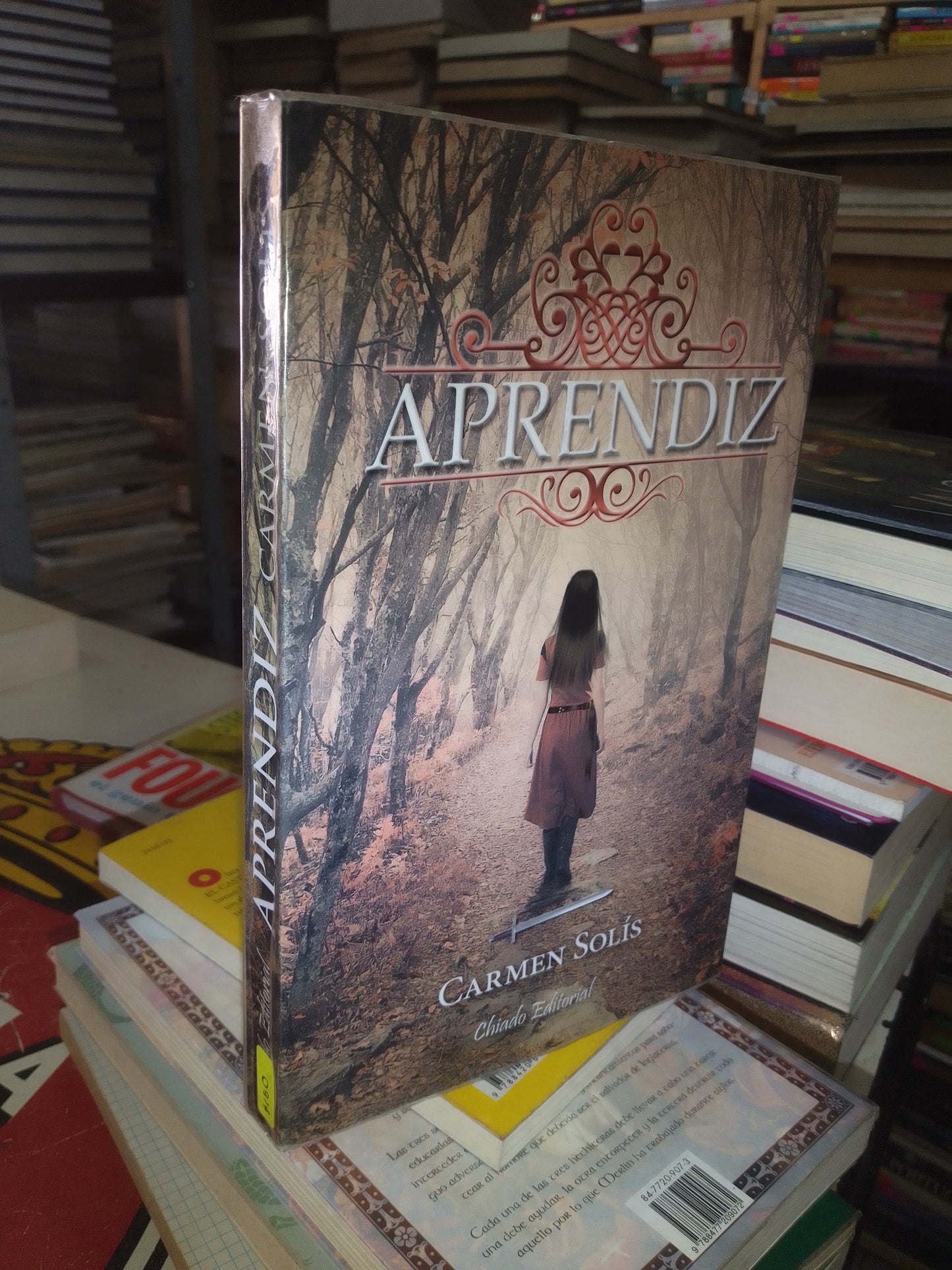 APRENDIZ POR CARME SOLÍS USADO NOVELA LITERARIO 207
