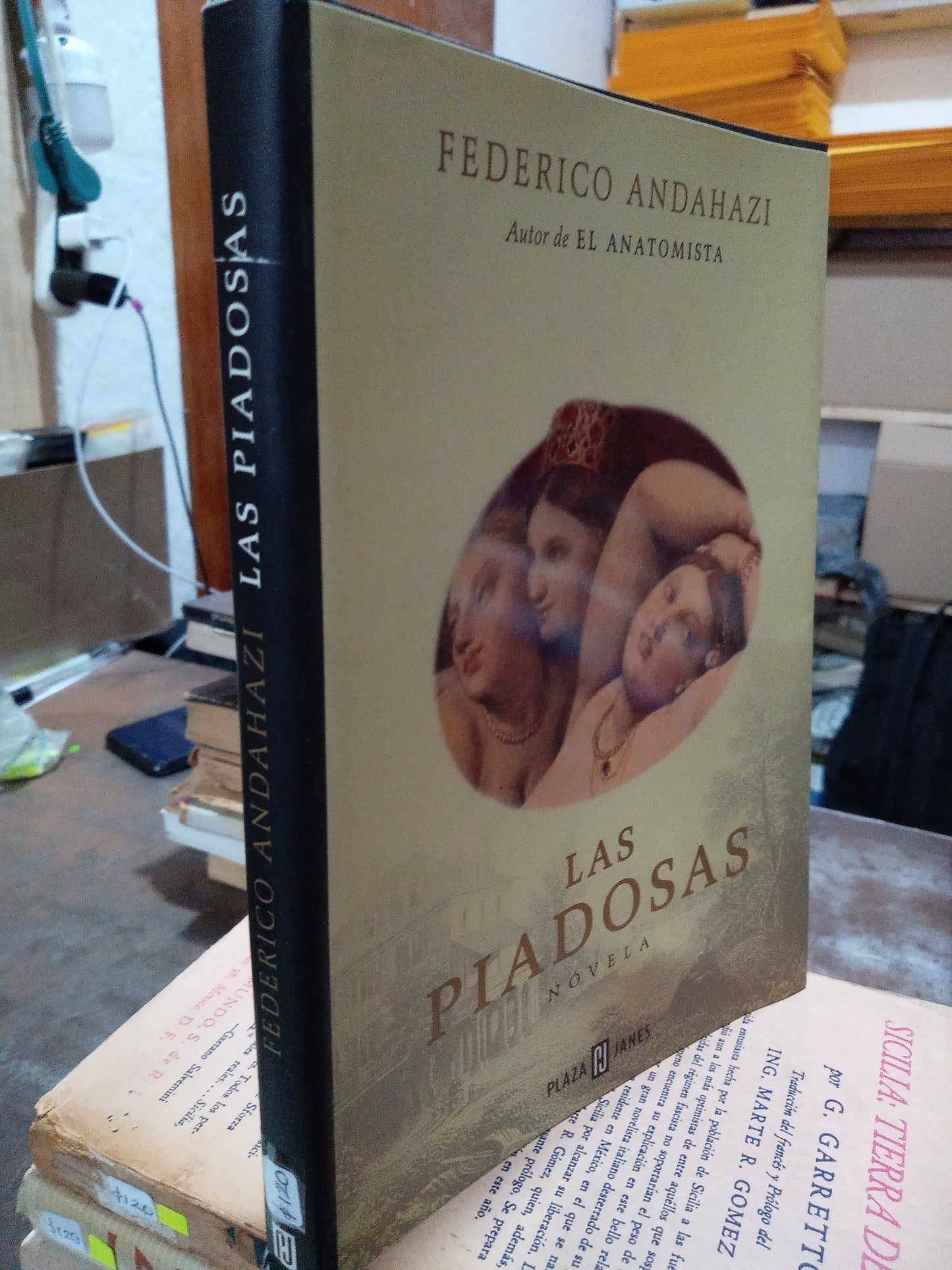 LAS PIADOSAS POR FEDERICO ANDAHAZI USADO NOVELAS ALDAMA