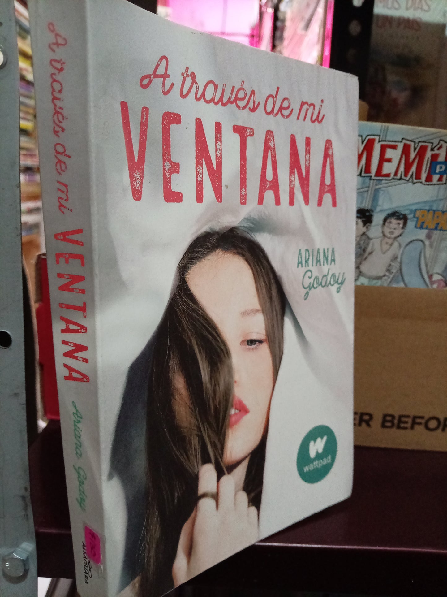 A TRAVES DE MI VENTANA POR ARIANA GODOY USADO NOVELA LITERARIO 305