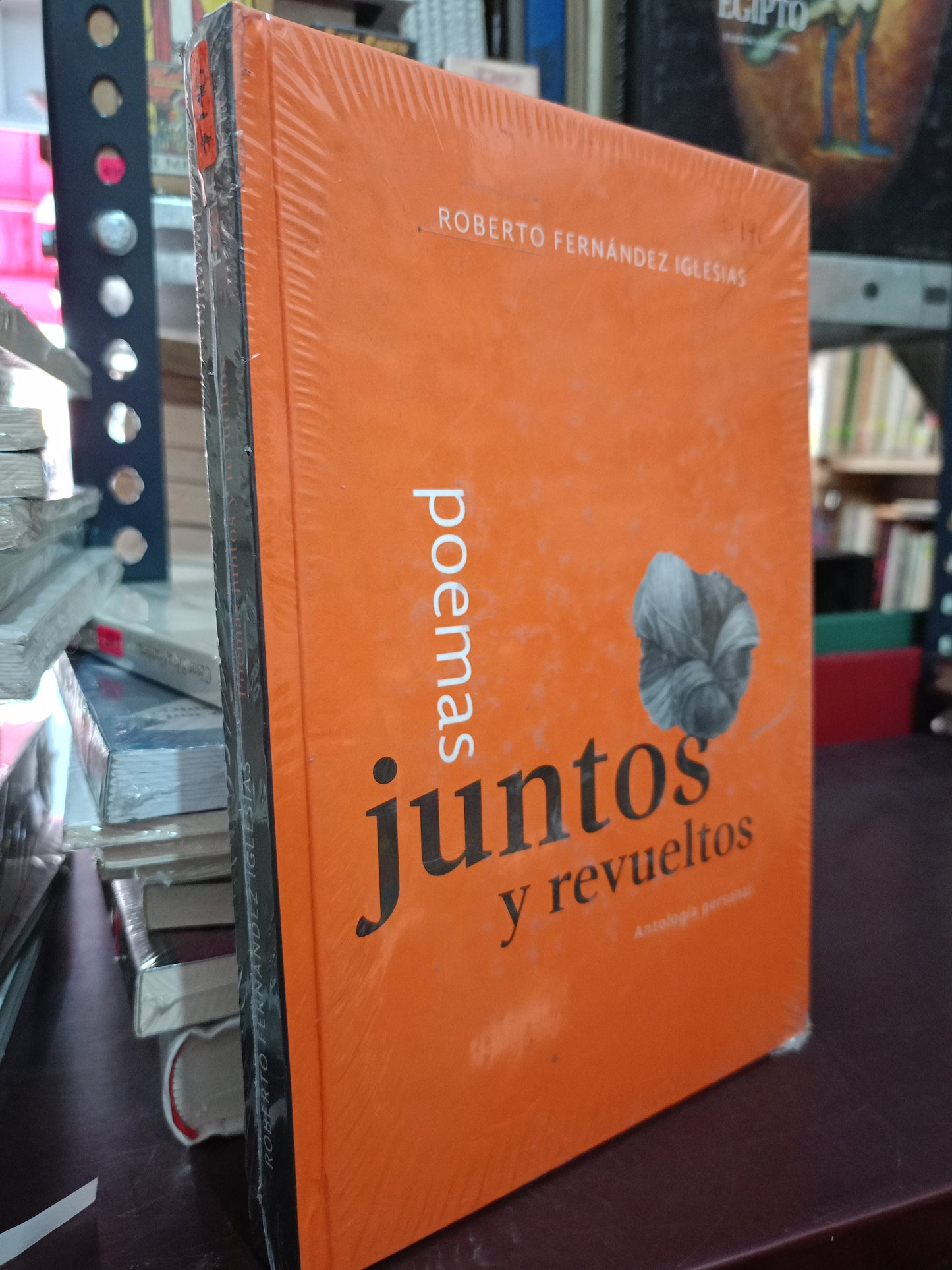 POEMAS JUNTOS Y REVUELTOS ANTOLOGIA PERSONAL POR ROBERTO FERNÁNDEZ IGLESIAS NUEVO LITERARIO 305