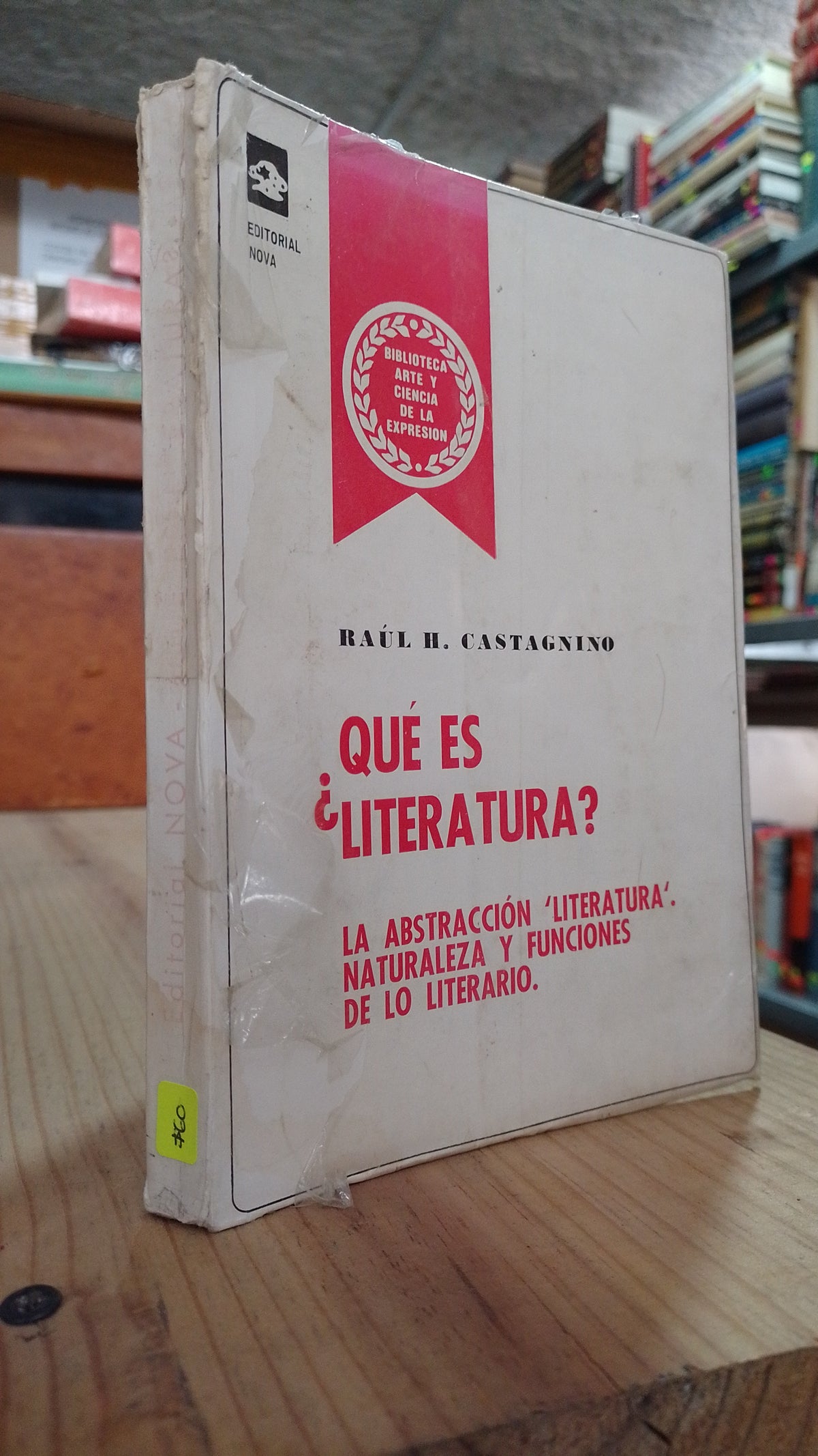 ¿QUE ES LITERATURA? POR RAUL CASTAGNINO USADO NOVELA ALDAMA