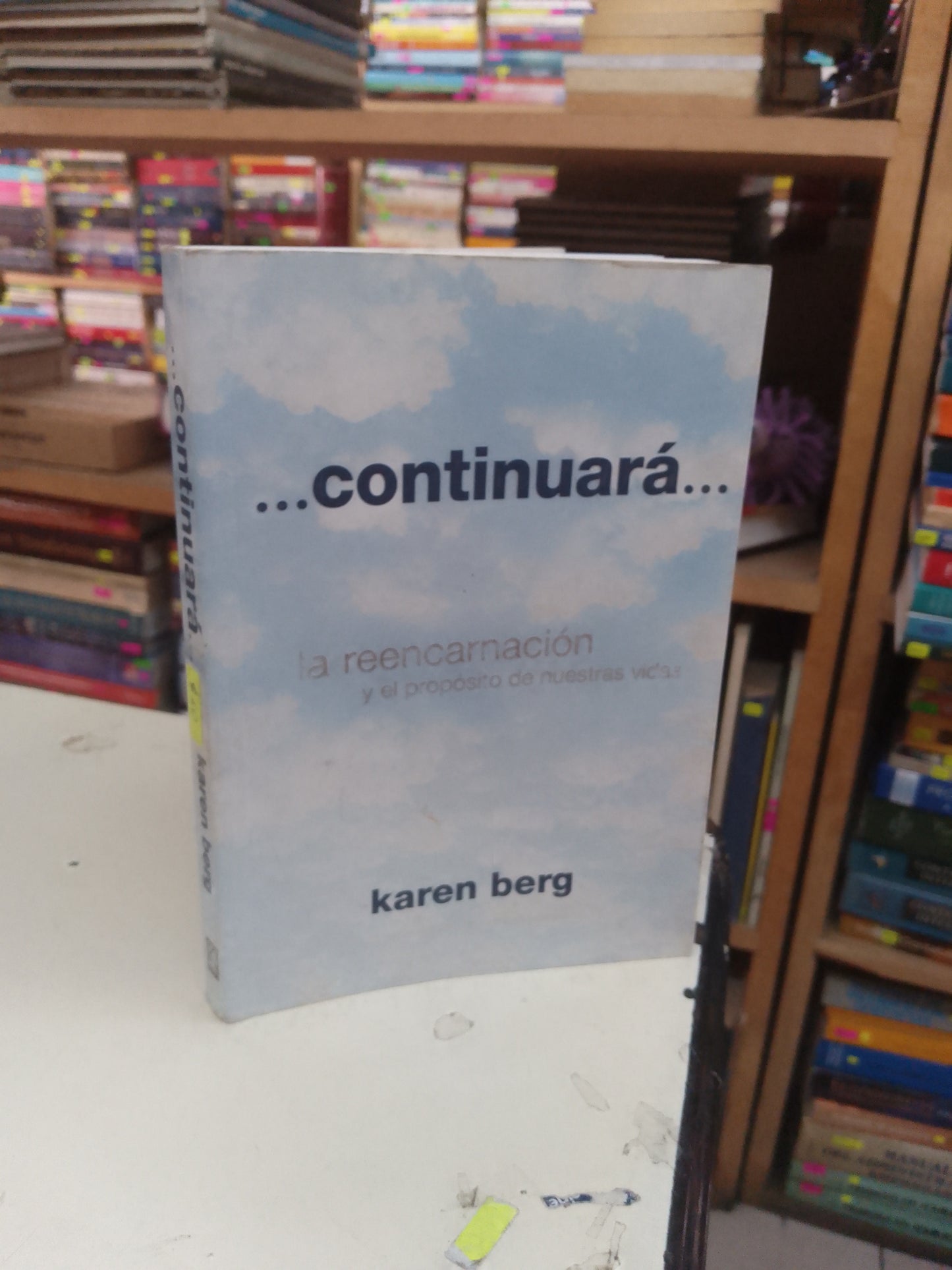... CONTINUARÁ... POR KAREN BERG USADO SUPERACIÓN PERSONAL LITERARIO 207