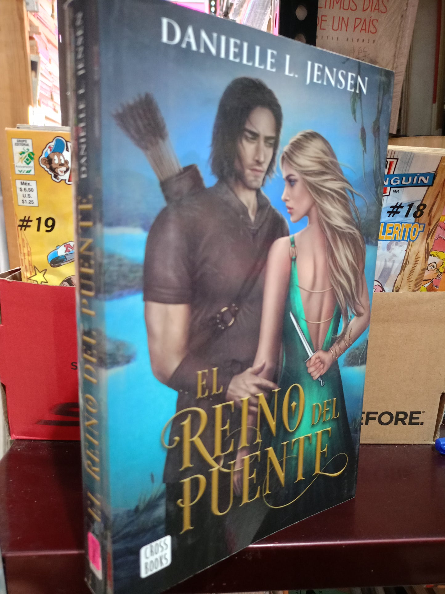 EL REINO DEL PUENTE DANIELLE L. JENSEN USADO NOVELA LITERARIO 305