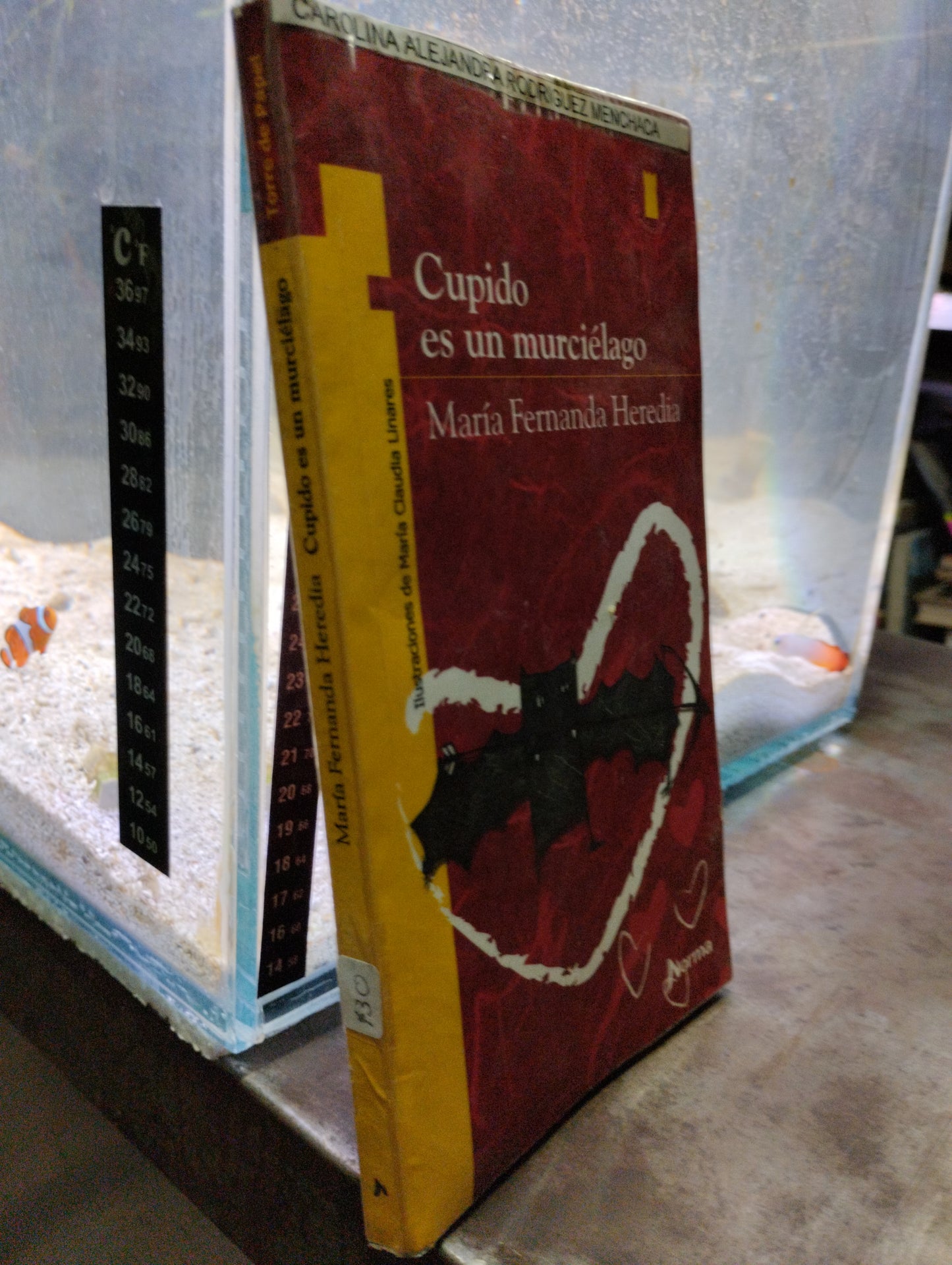 CUPIDO ES UN MURCIELAGO POR MARÍA FERNANDA HEREDIA USADO INFANTIL ALDAMA