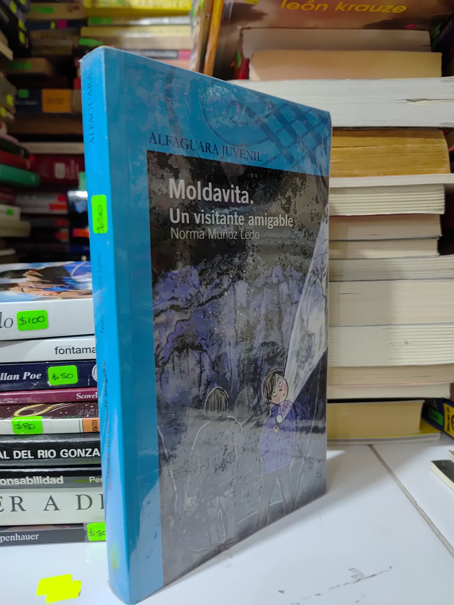 MOLDAVITA UNA VISITANTE AMIGABLE POR NORMA MUÑOZ LEDO USADO INFANTILES JUAREZ 507