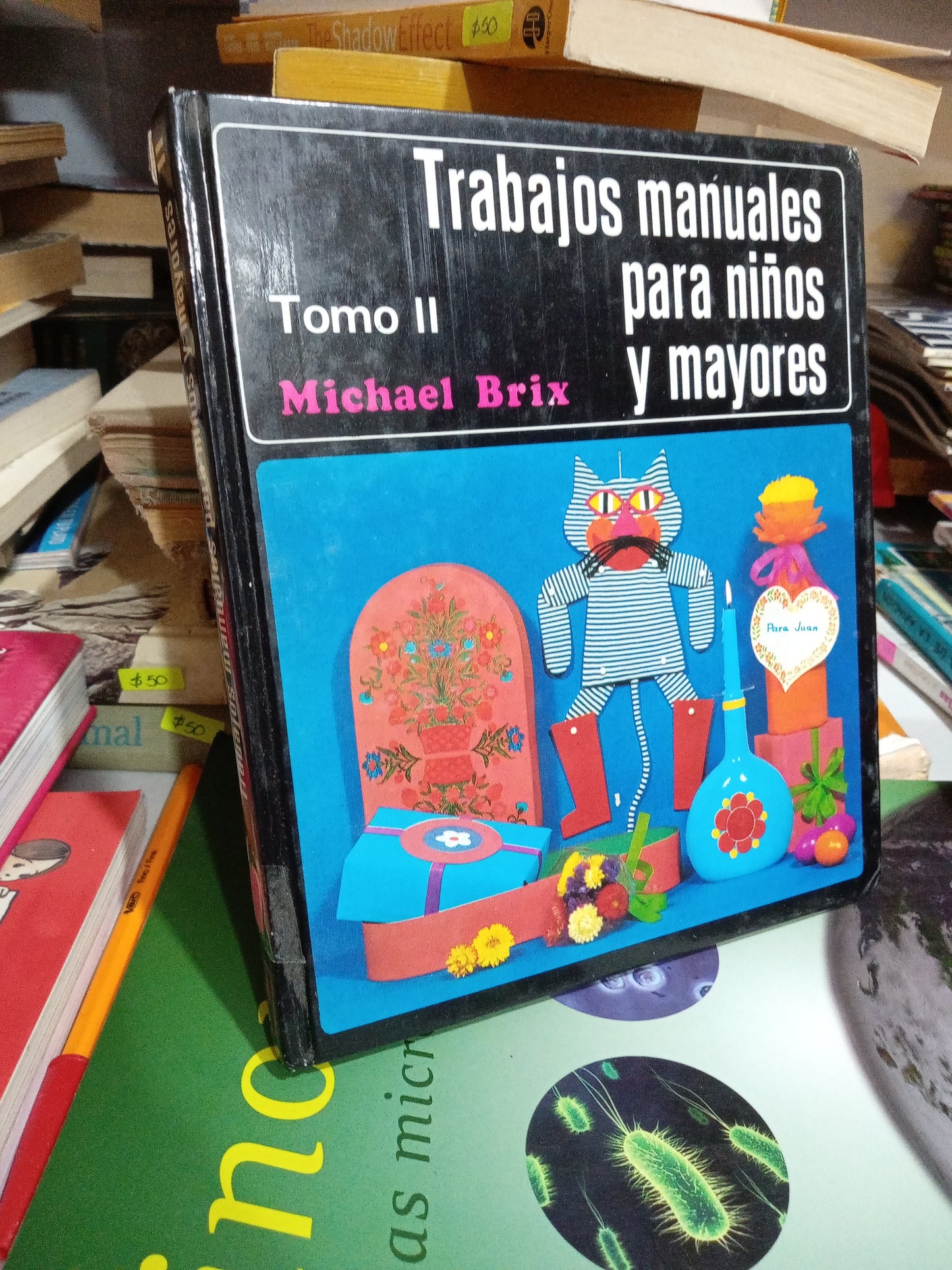 TRABAJOS MANUALES PARA NIÑOS Y MAYORES TOMO II USADO INFANTIL JUAREZ