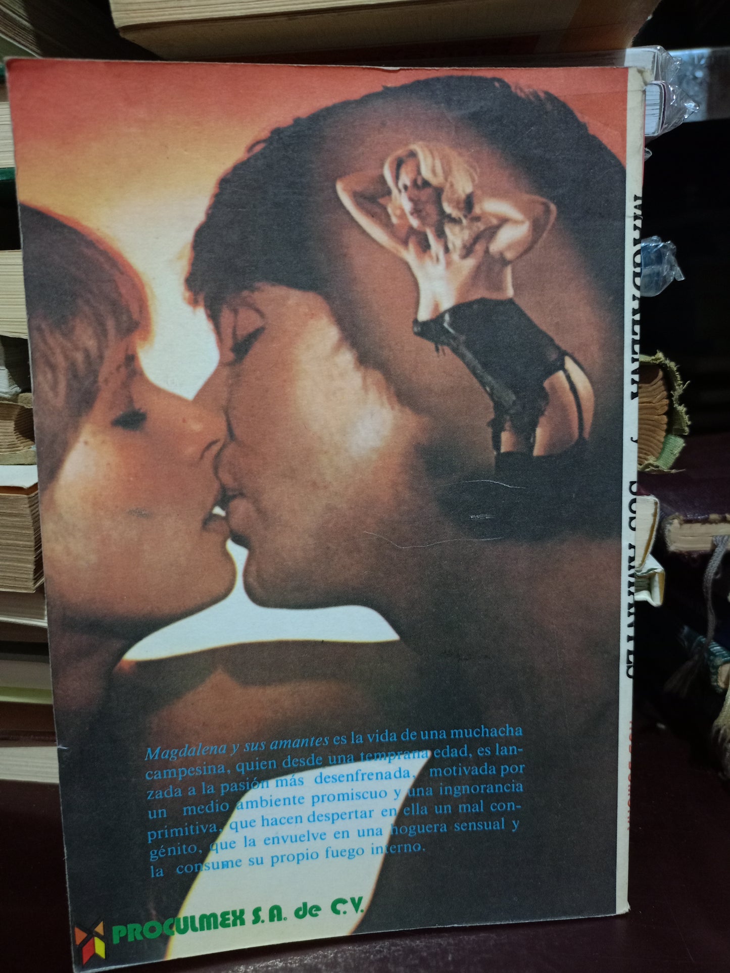 MAGDALENA Y SUS AMANTES POR ROD DUMORA USADO NOVELA LITERARIO 305