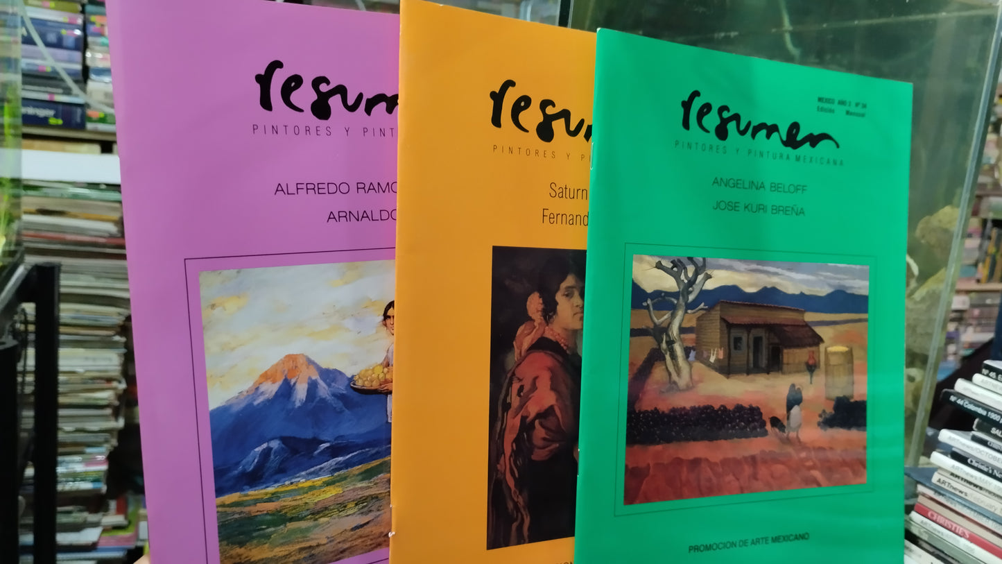 RESUMEN POR ANGELICA BELOF LIBRO USADO ARTE ALDAMA