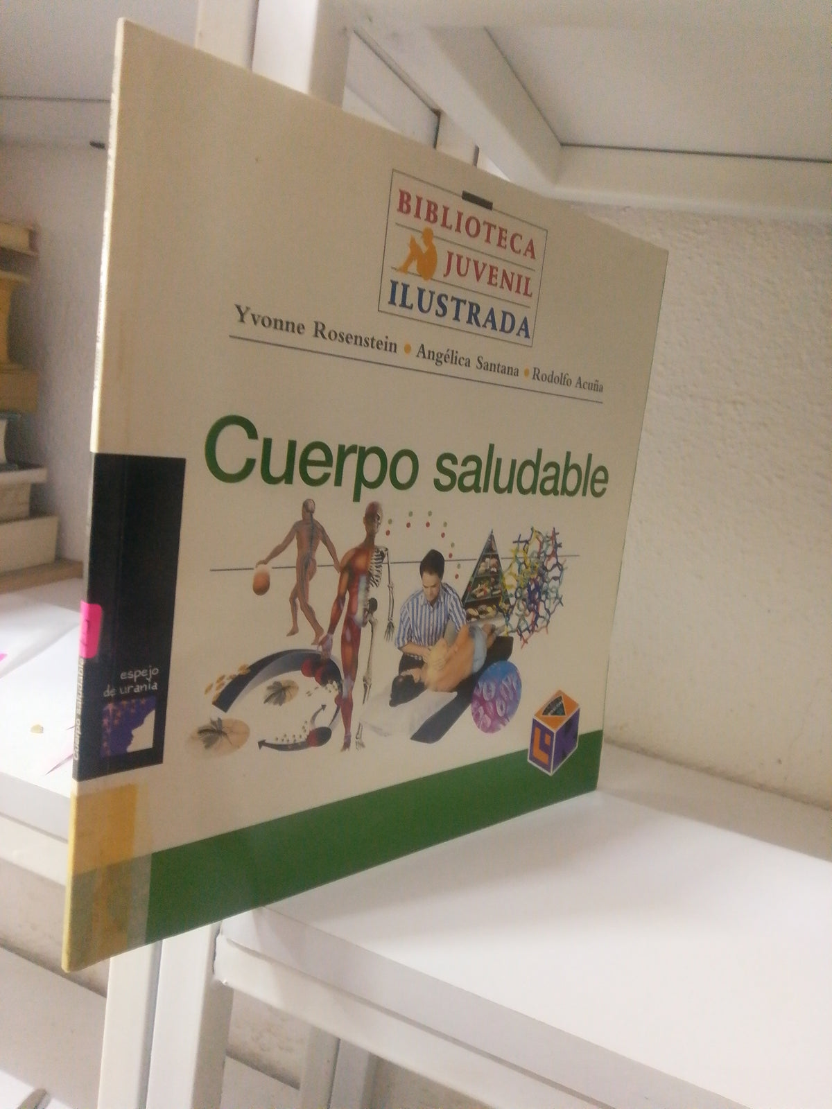 CUERPO SALUDABLE POR YVONNE ROSENSTEIN USADO INFANTIL JUAREZ 515