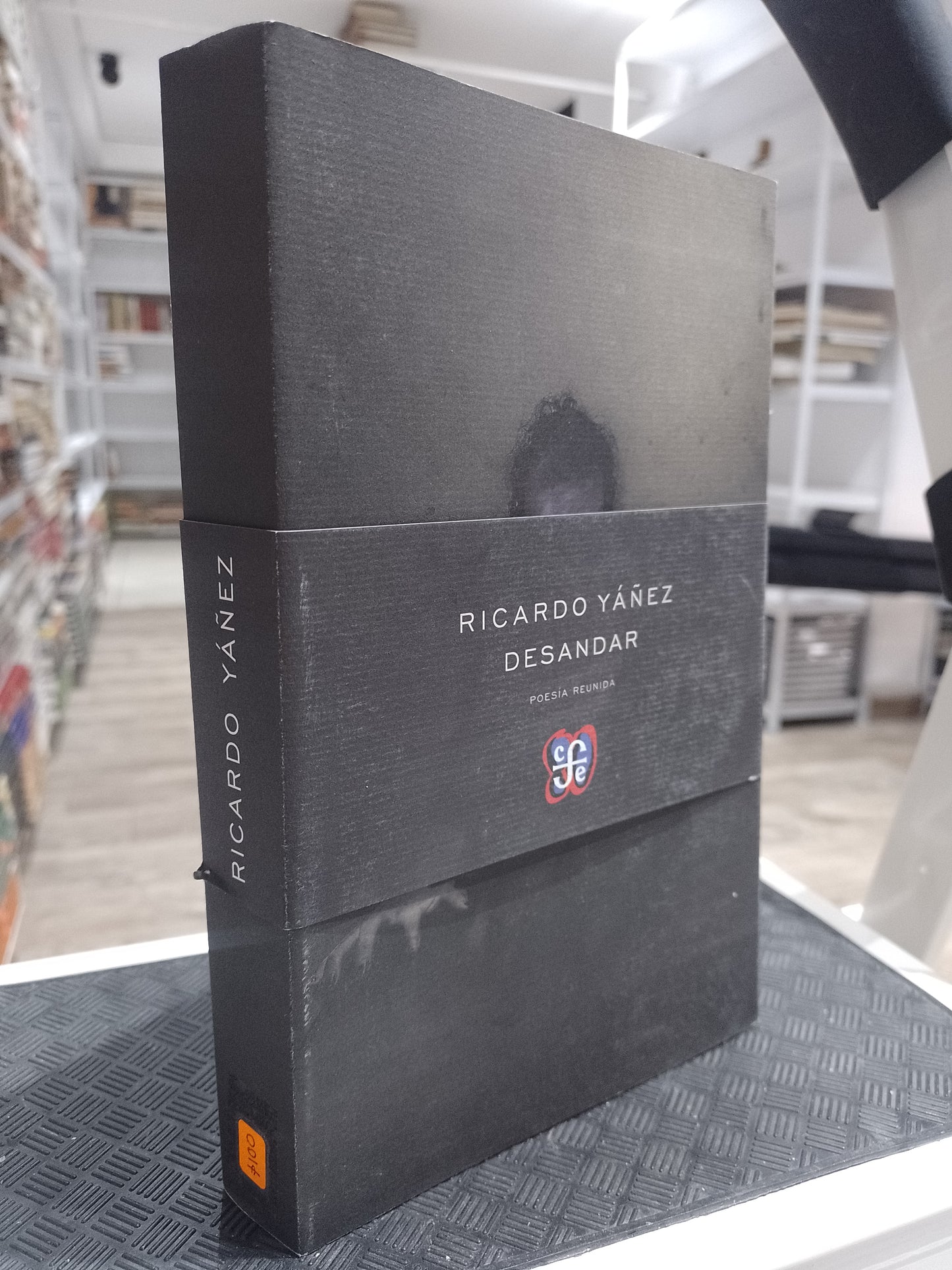 DESANDAR POR RICARDO YAÑES USADO POESIA JUAREZ 515