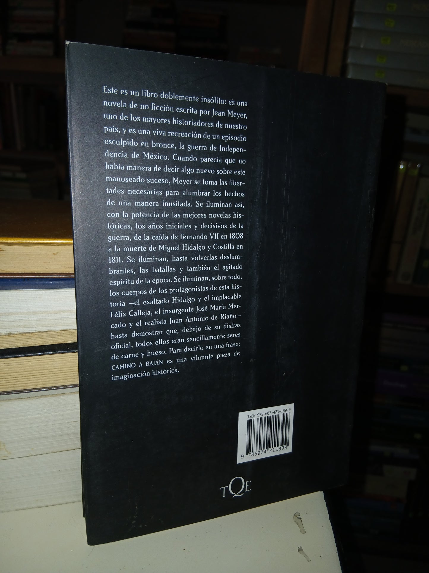 CAMINO A BAJÁN POR JEAN MEYER USADO NOVELA LITERARIO 207