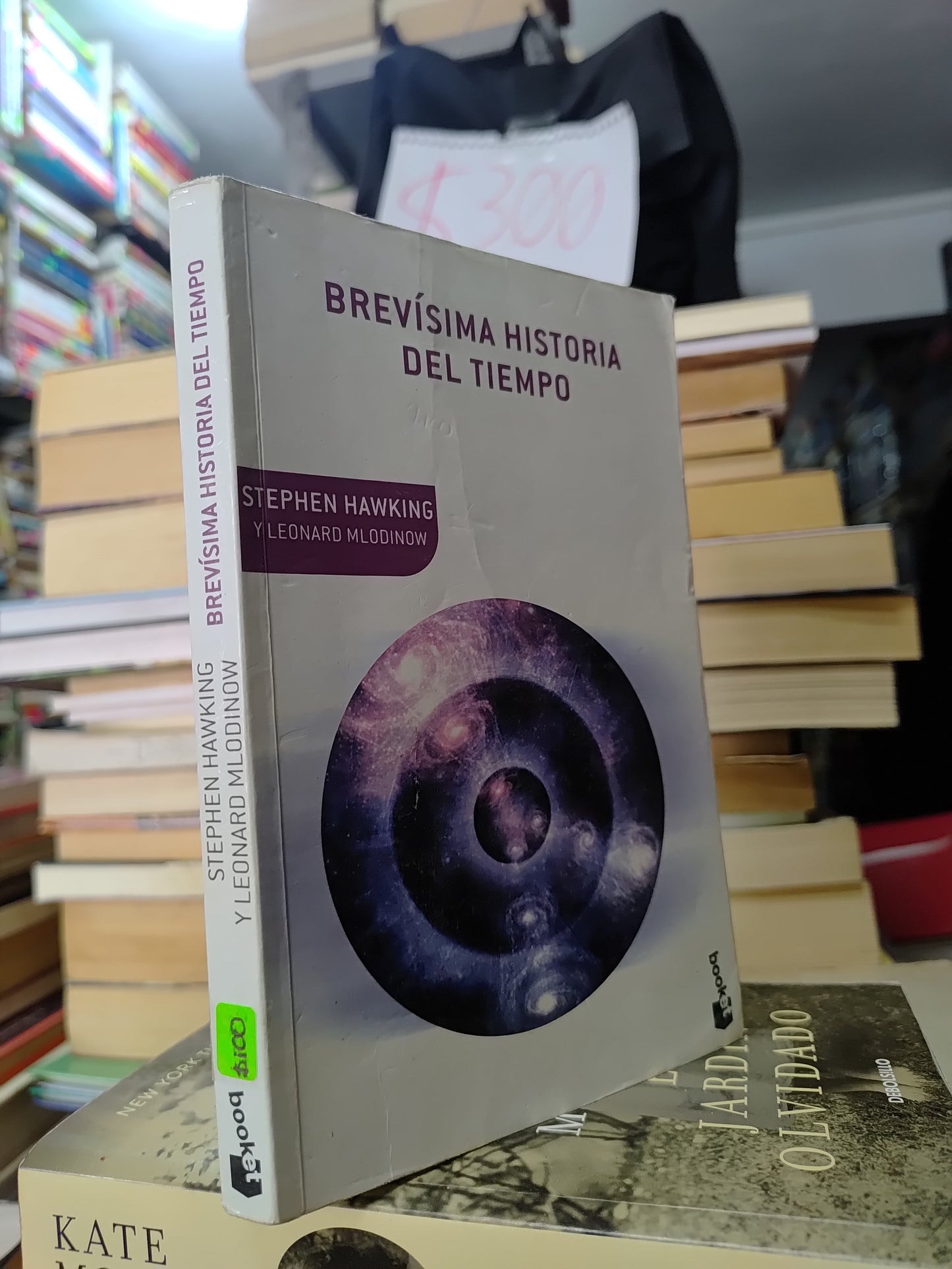 BREVISIMA HISTORIA DEL TIEMPO POR STEPHEN HAWKING USADO CIENCIA JUAREZ 507