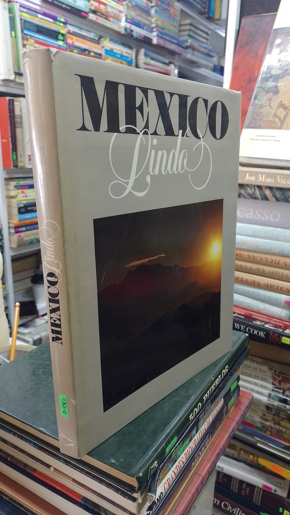 MEXICO LINDO POR JOSE PABLO FERNANDEZ CUETO USADO ARTE JUAREZ 507