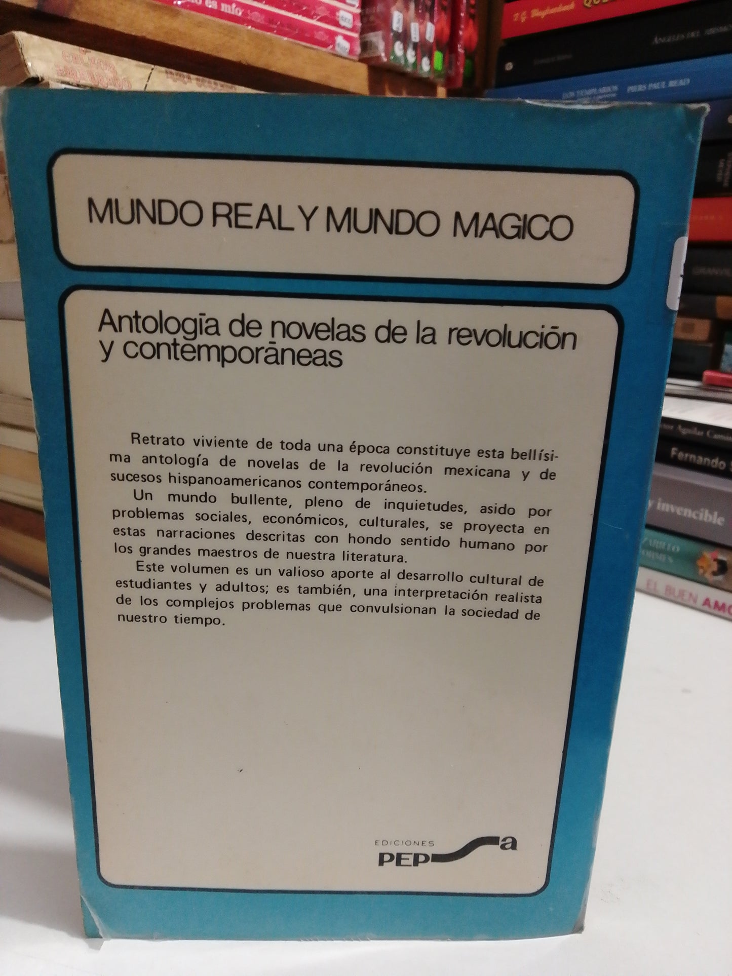 MUNDO REAL Y MUNDO MAGICO USADO NOVELA JUAREZ