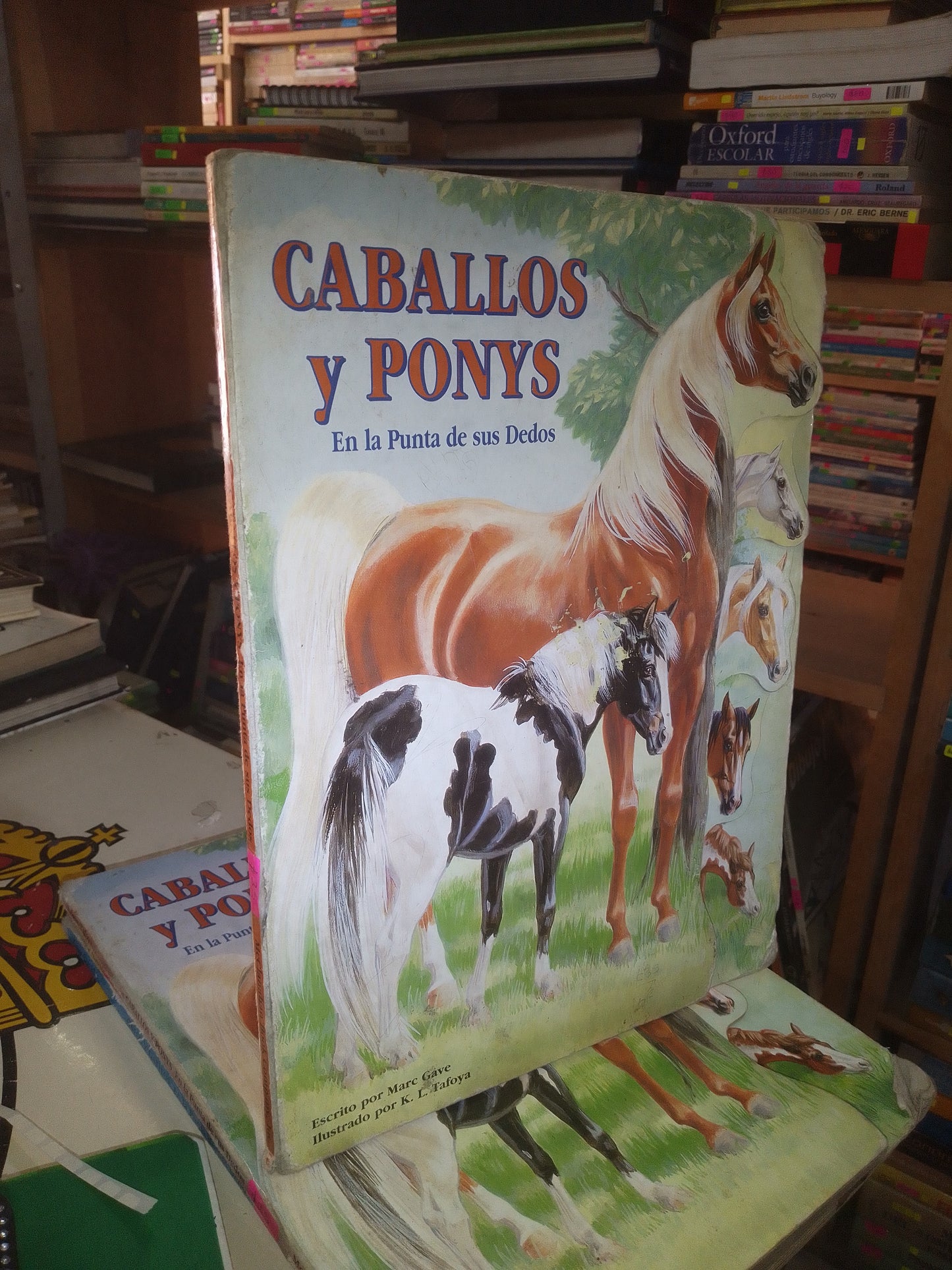 CABALLOS Y PONYS EN LA PUNTA DE SUS DEDOS POR MARC GAVE USADO INFANTIL LITERARIO 207