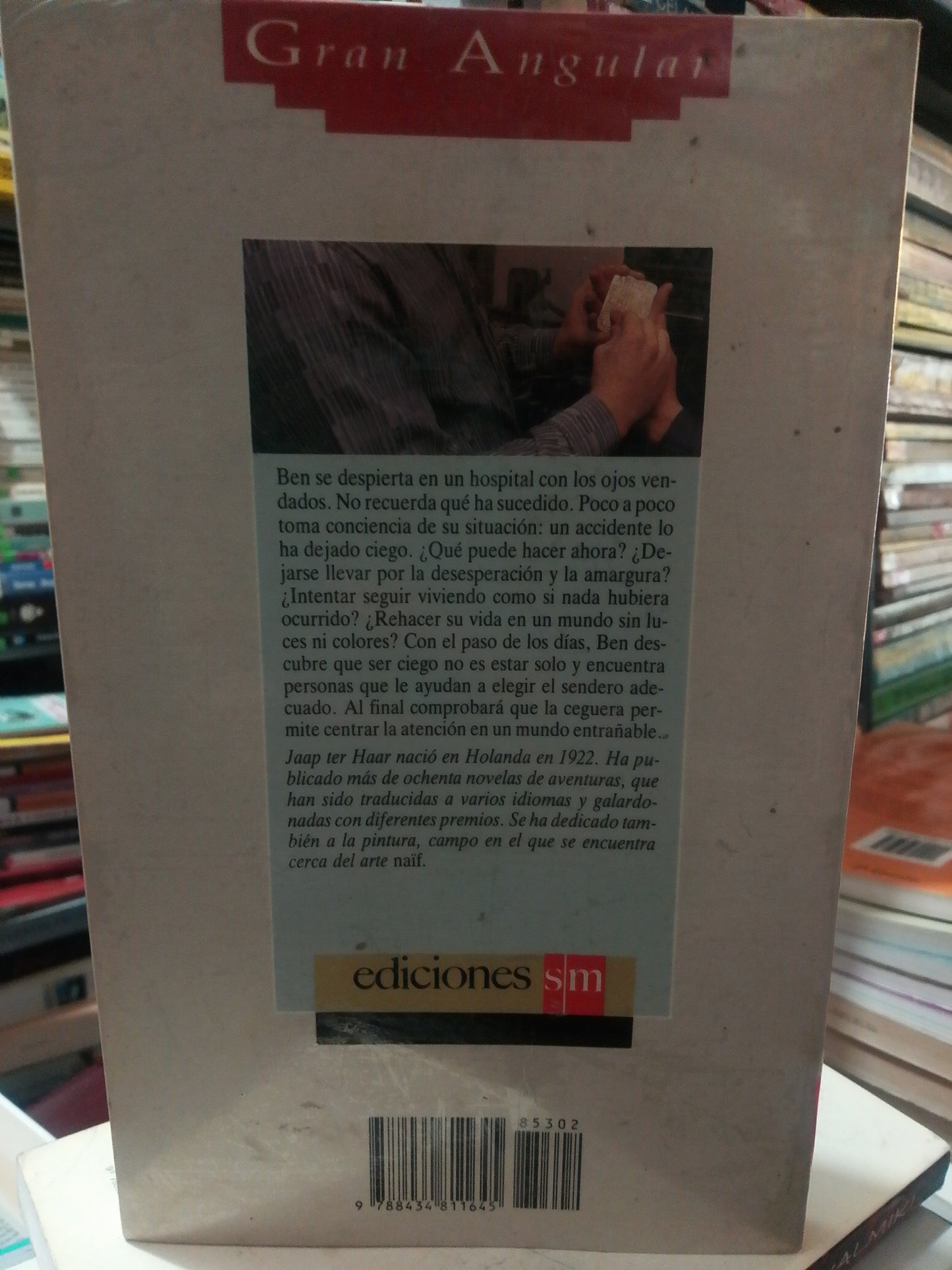 EL MUNDO DE BEN LIGHTHART POR JAAP TER HAAR USADO NOVELA JUAREZ