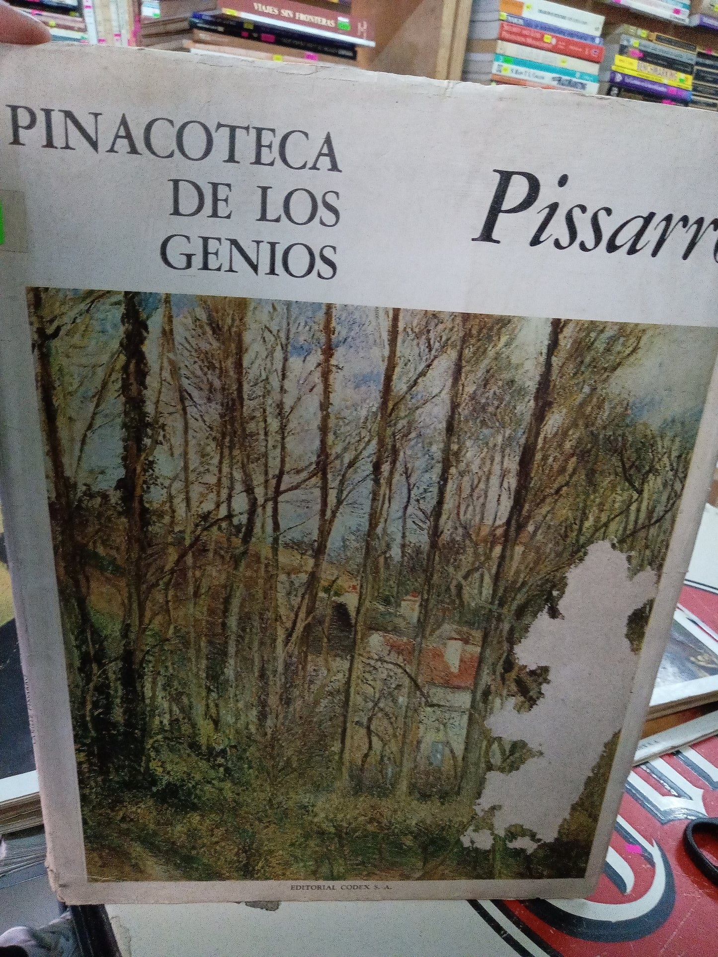 PINACOTECA DE LOS GENIOS PISSARRO POR LAURA MALVANO USADO ARTE LITERARIO 207