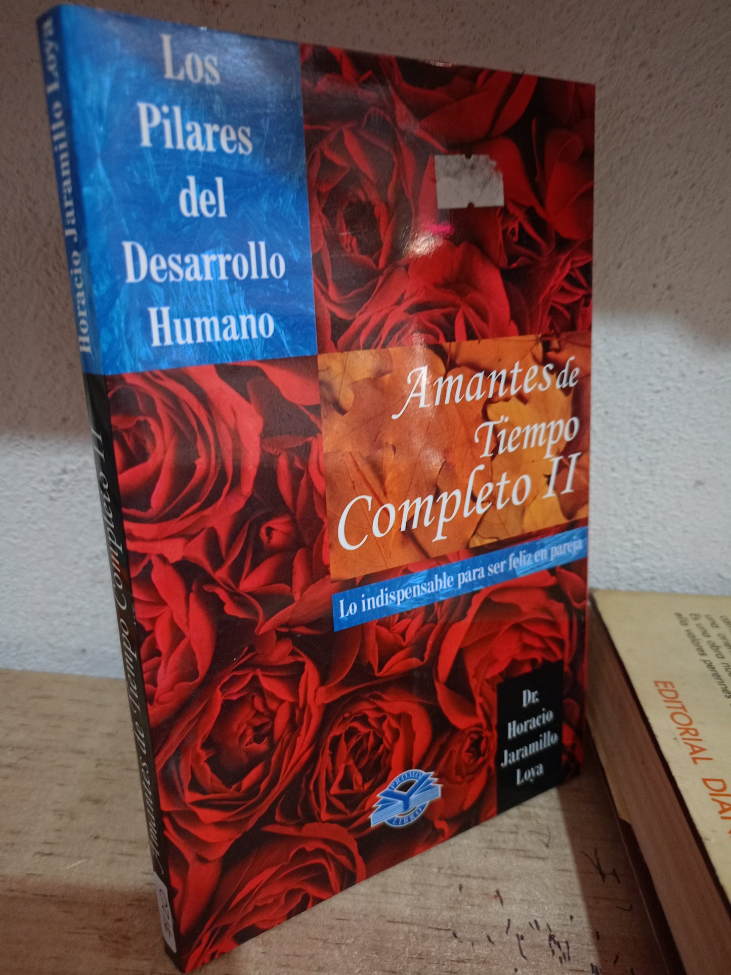 AMANTES DE TIEMPO COMPLETO USADO S.PERSONAL LITERARIO 305