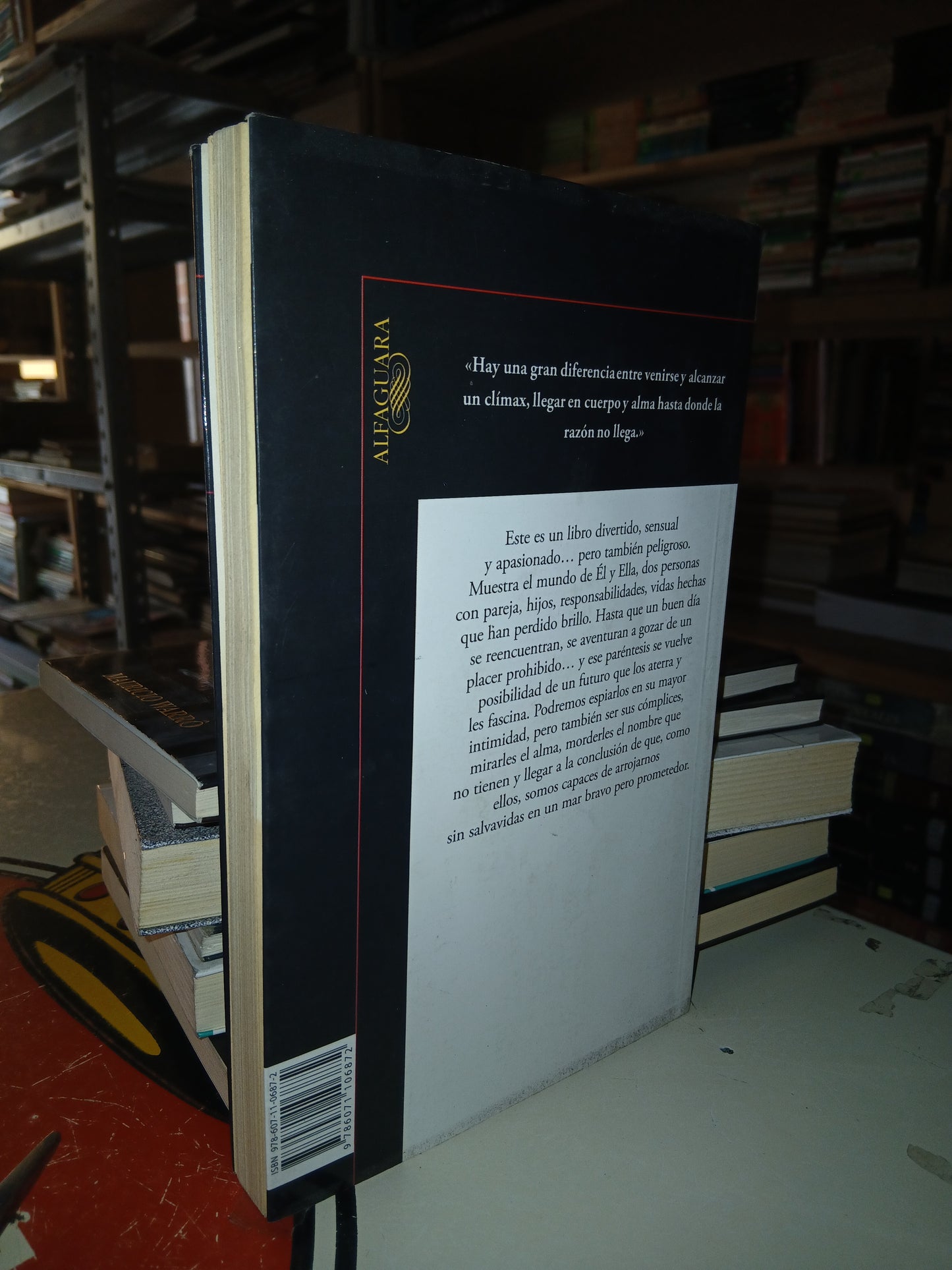 AMORES ADÚLTEROS POR BEATRIZ RIVAS Y FEDERICO TRAEGER USADO NOVELA LITERARIO 207