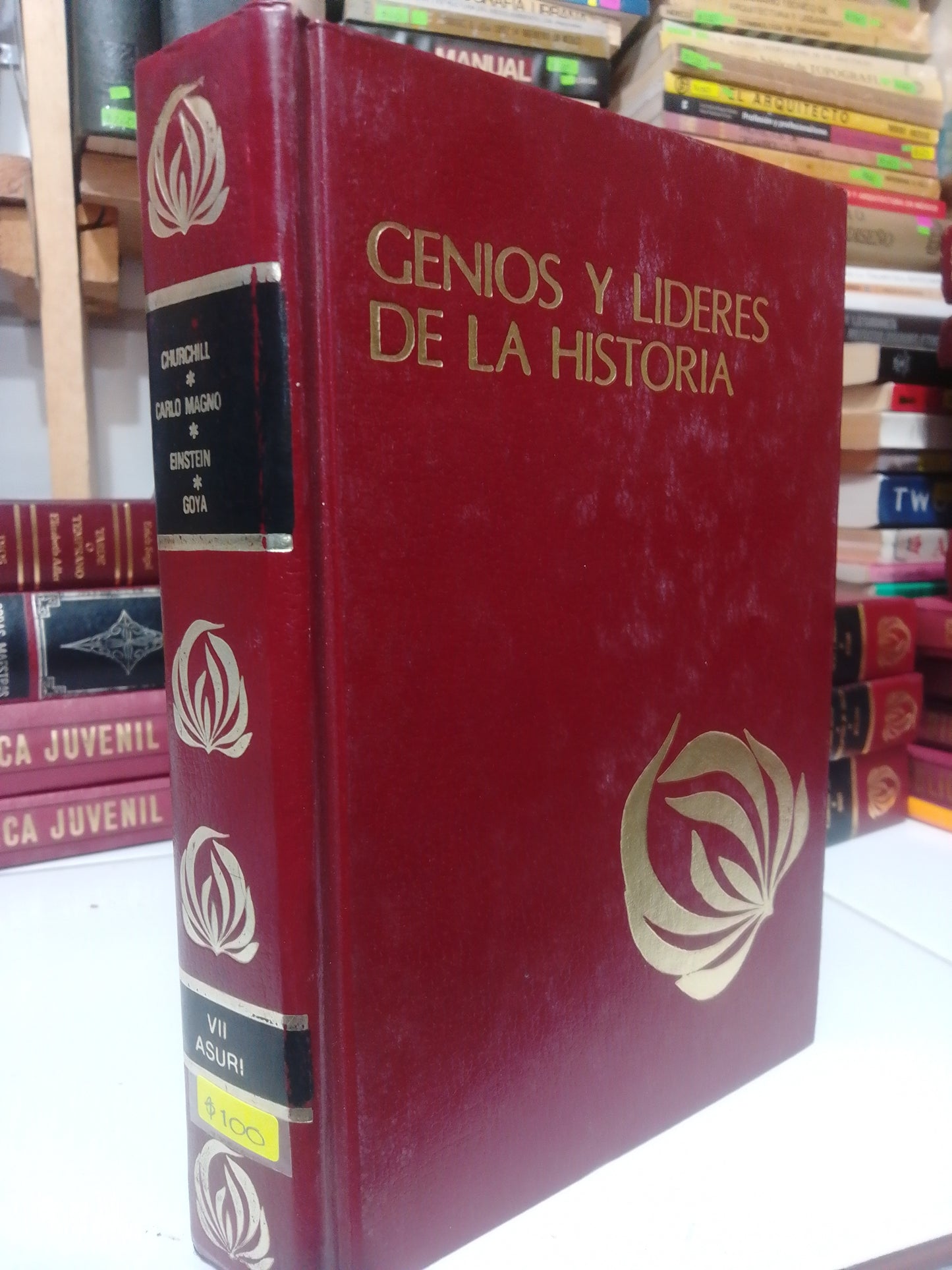 CHURCHILL,CARLO MAGNO , EINSTEIN,GOYA USADO HISTORIA JUAREZ