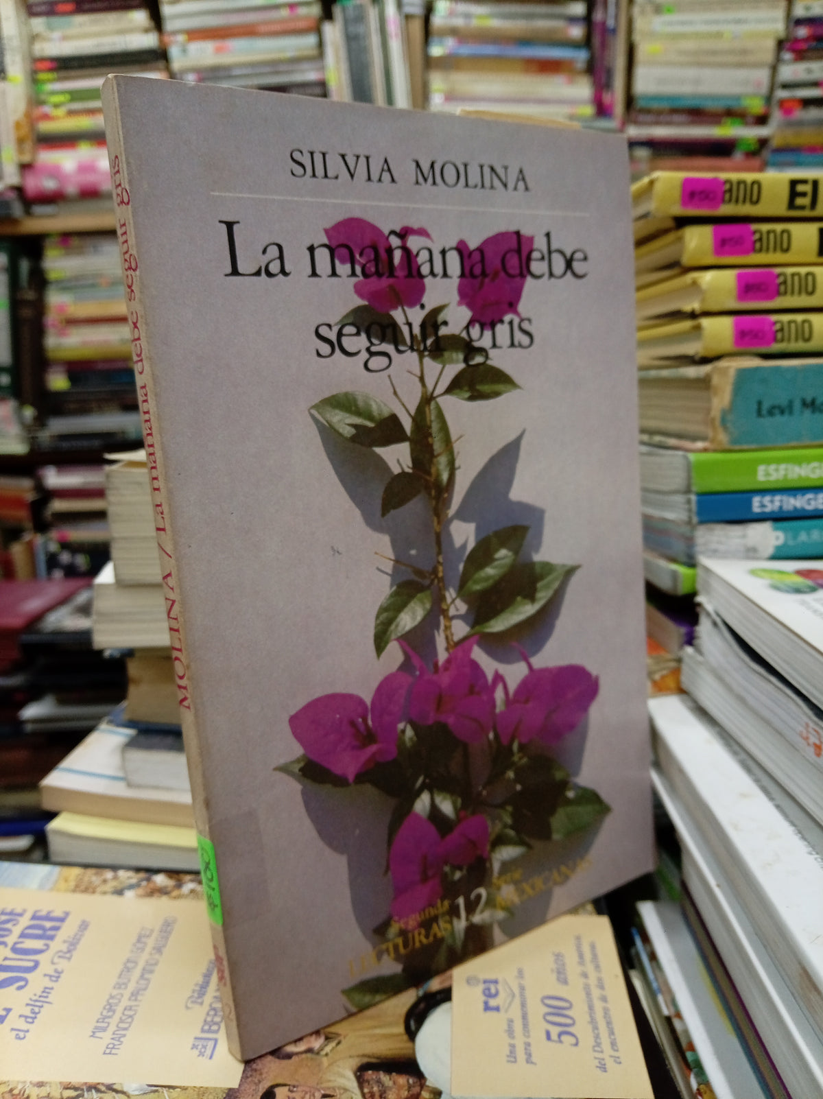 LA MAÑANA DEBE SEGUIR GRIS POR SILVIA MOLINA USADO NOVELA JUAREZ 515