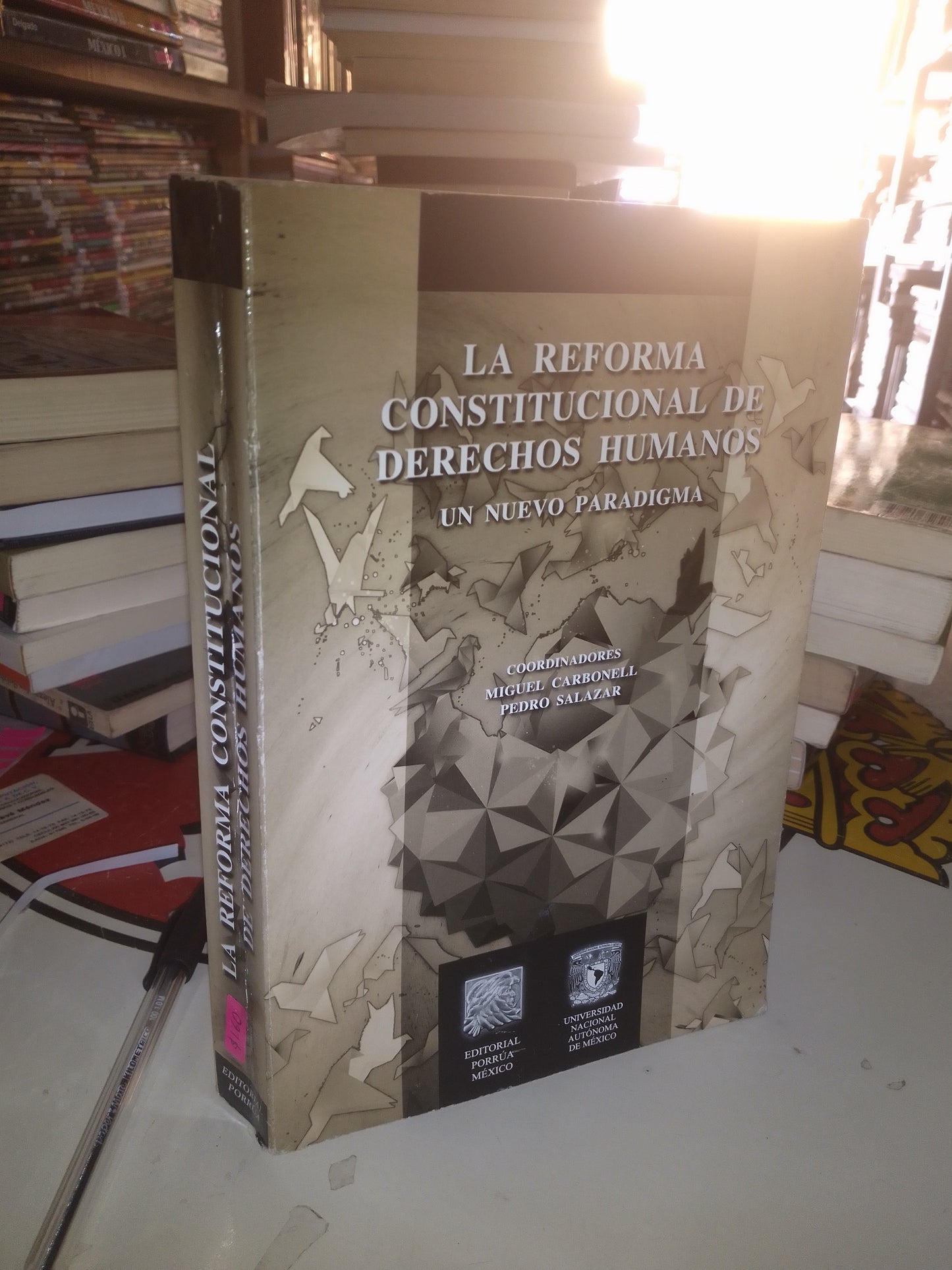 LA REFORMA CONSTITUCIONAL DE DERECHOS HUMANOS: UN NUEVO PARADIGMA COORDINADO POR MIGUEL CARBONELL Y PEDRO SALAZAR USADO DERECHO LITERARIO 207