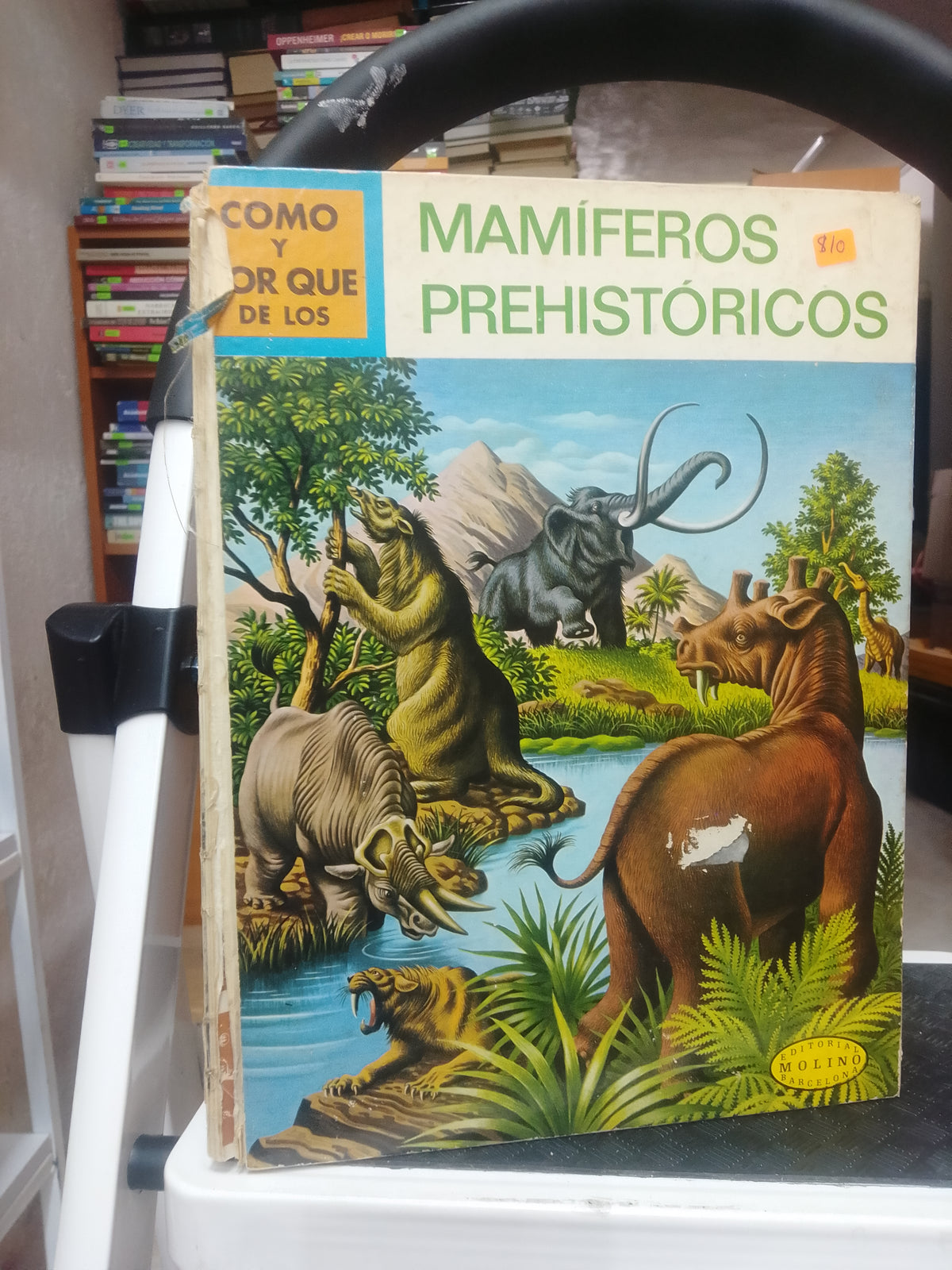 COMO Y PORQUE DE LOS MAMIFEROS PREHISTORICOS USADO BIOLOGIA JUAREZ 515