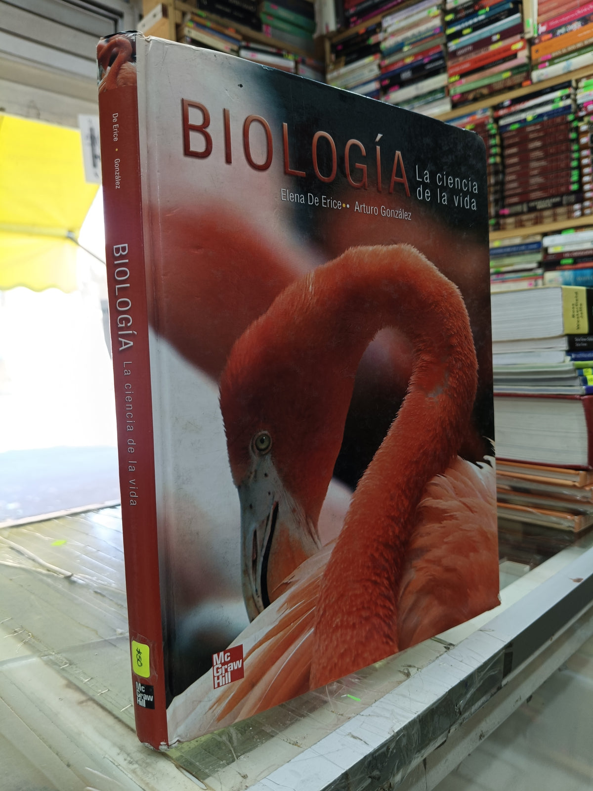 BIOLOGIA LA CIENCIA DE LA VIDA POR ELENA DE ERICE ARTURO GONZALEZ USADO BIOLOGIA JUÁREZ 507