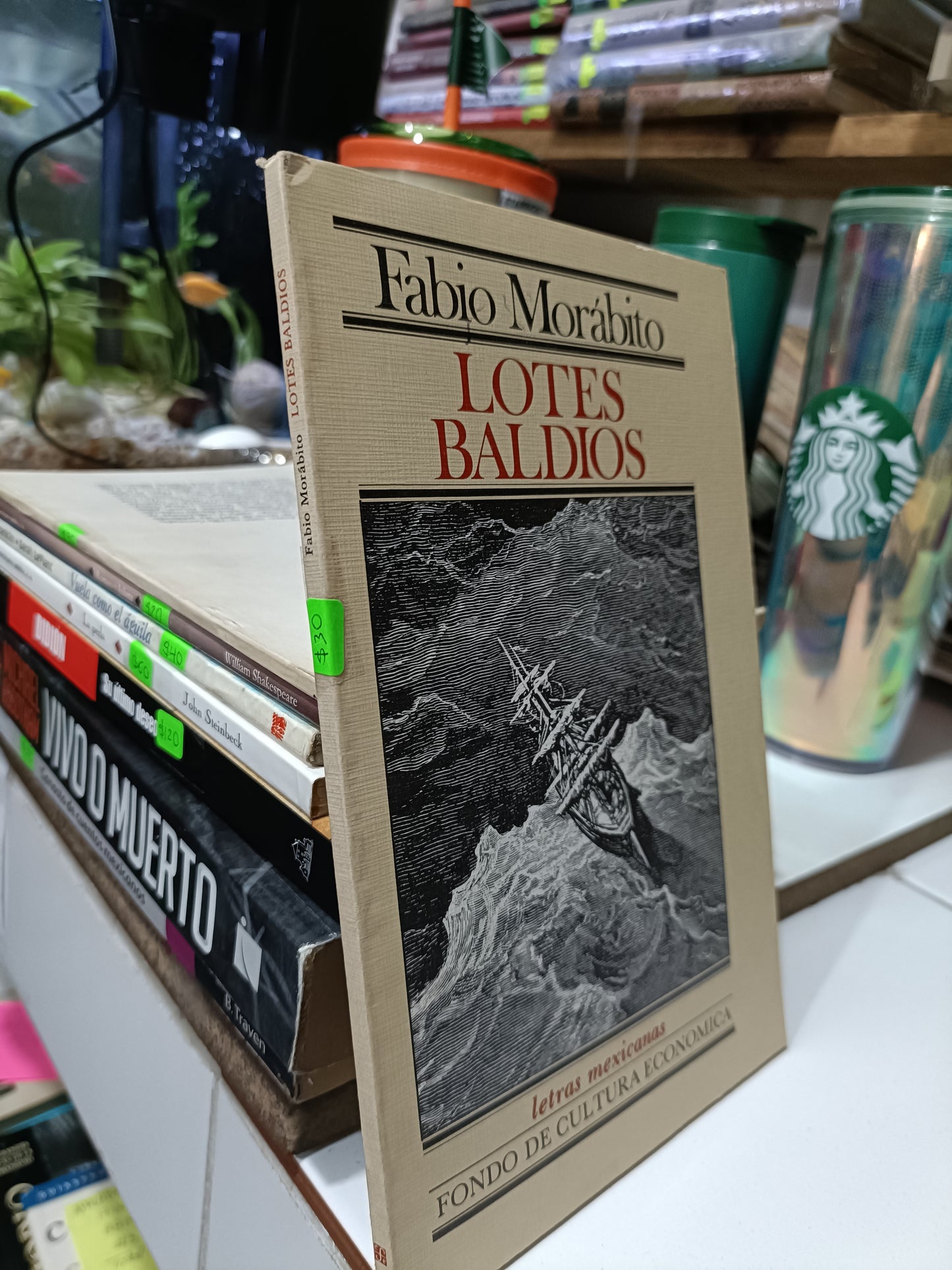 LOTES BALDIOS POR FABIO MORABITO USADO POESIA JUAREZ