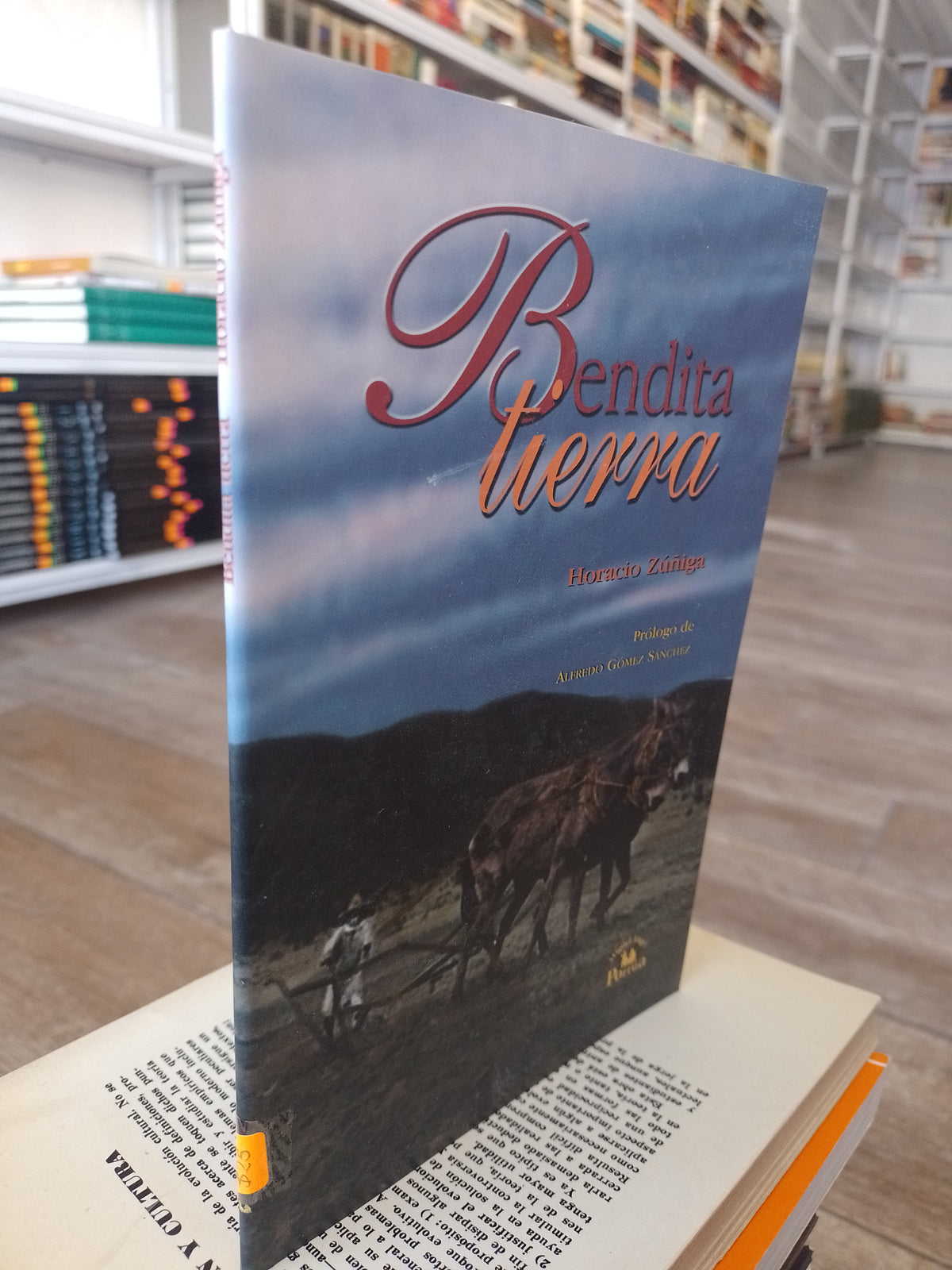 BENDITA TIERRA POR HORACIO ZUÑIGA USADO SOCIOLOGIA JUAREZ 515