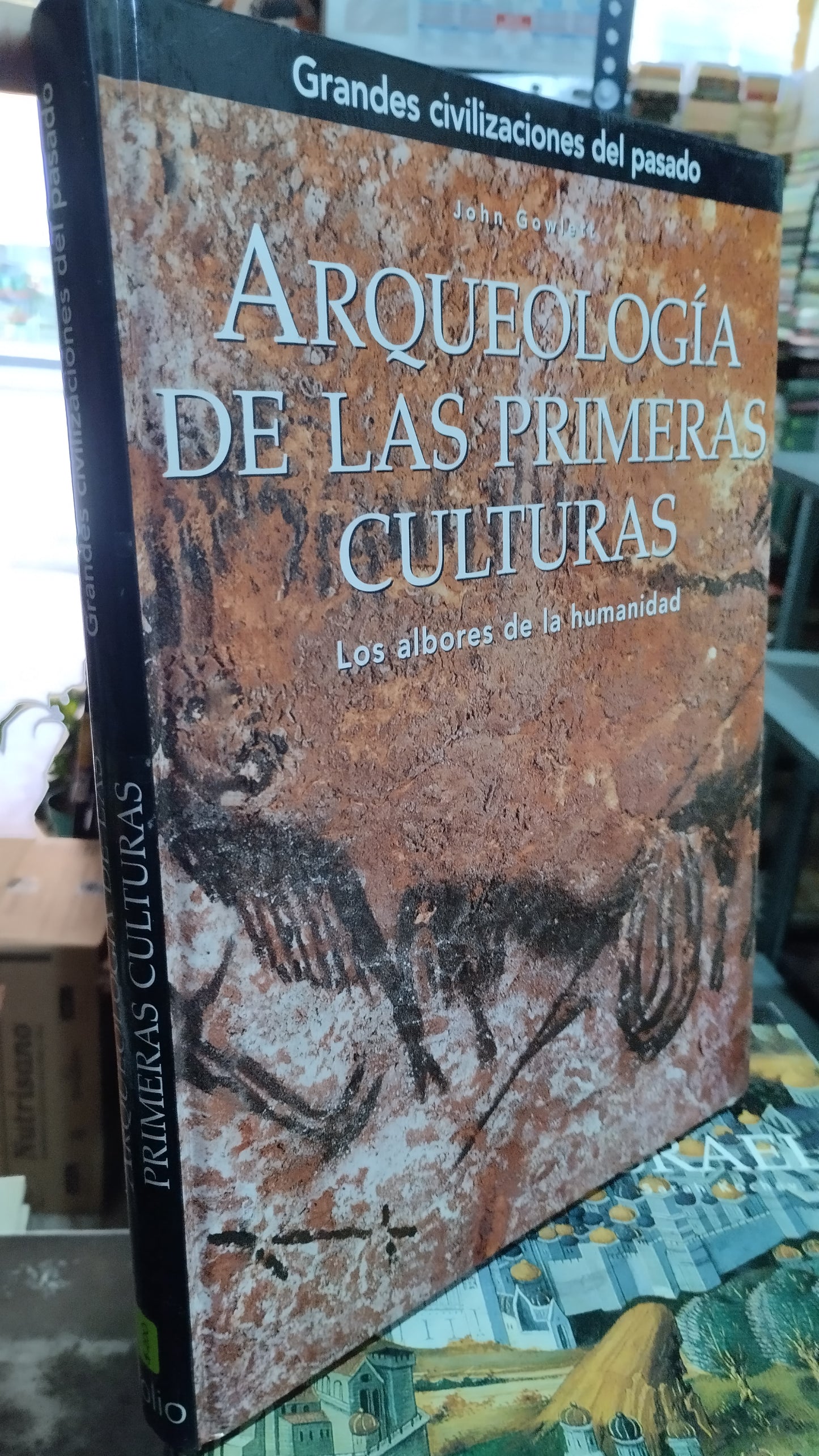 ARQUEOLOGIA DE LAS PRIMERAS CULTURAS POR JOHN GOWLETT LIBRO USADO HISTORIA ALDAMA