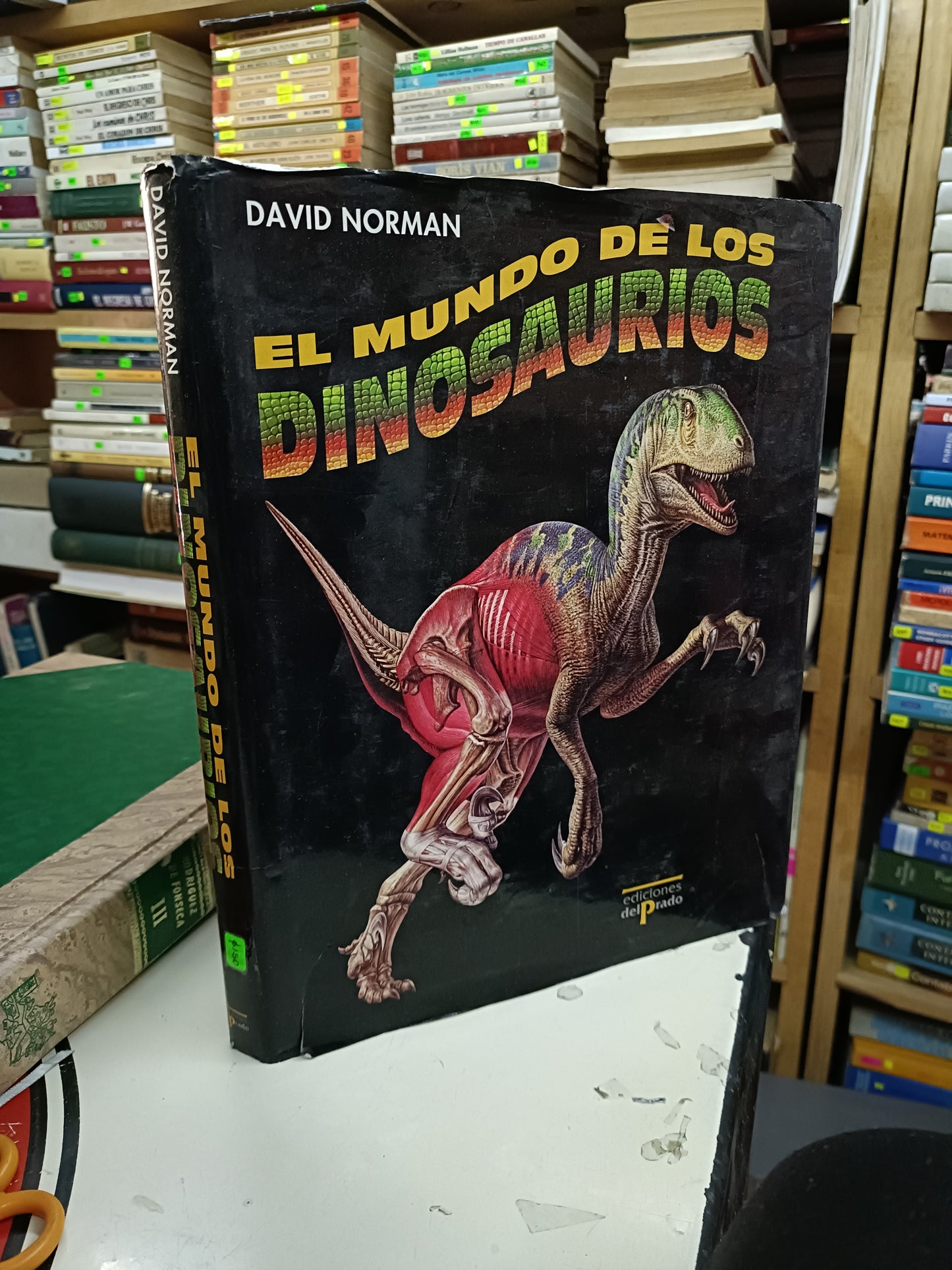 EL MUNDO DE LOS DINOSAURIOS POR DAVID NORMAN USADO INFANTIL LITERARIO 207