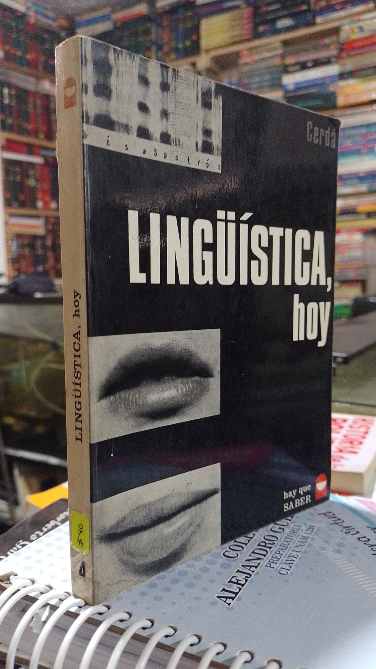 LINGUISTICA HOY POR RAMON CERDA MASSO USADO SOCIOLOGIA ALDAMA