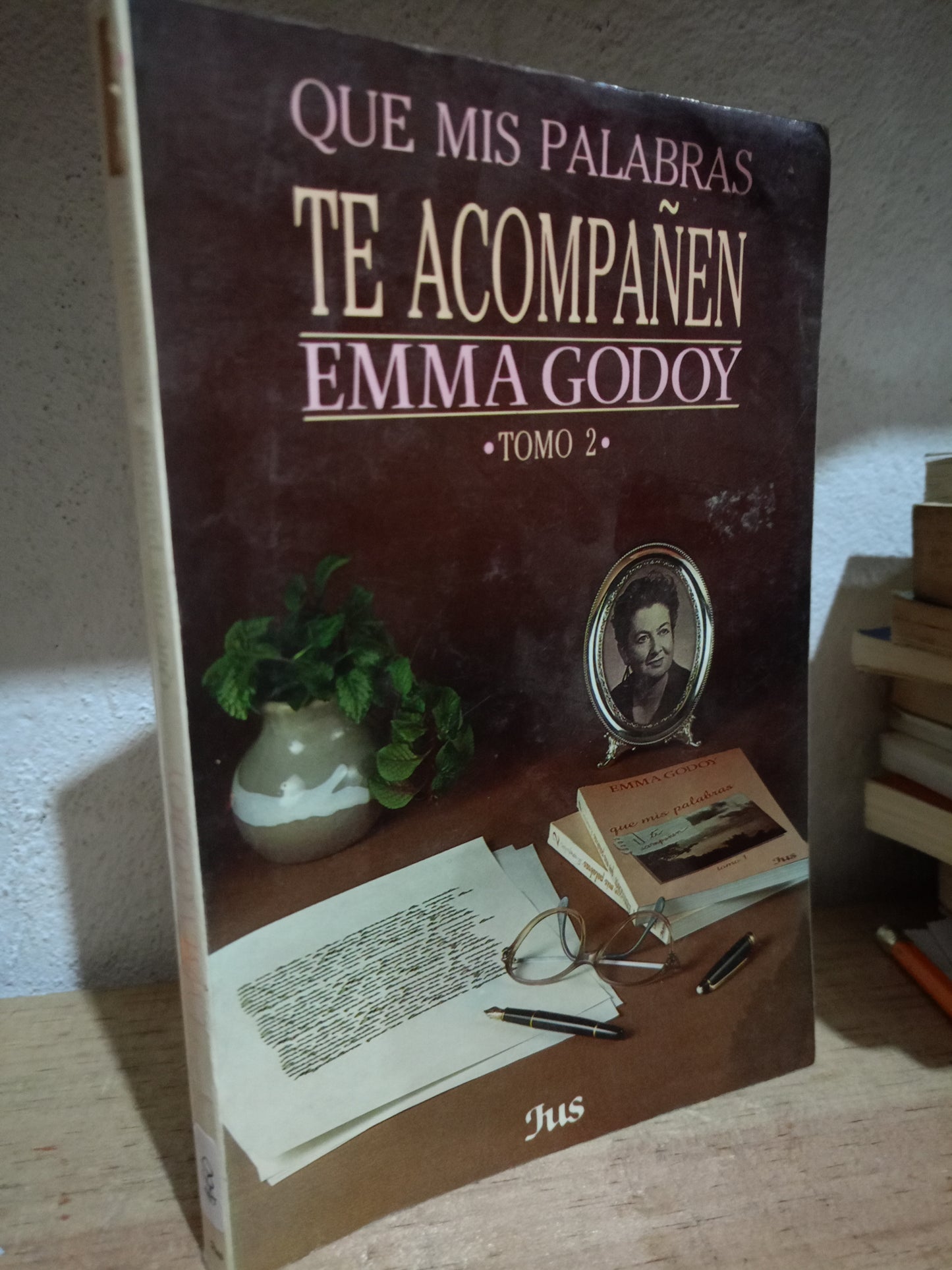 QUE MIS PALABRAS TE ACOMPAÑEN POR EMMA GODY USADO S.PERSONAL LITERARIO 305