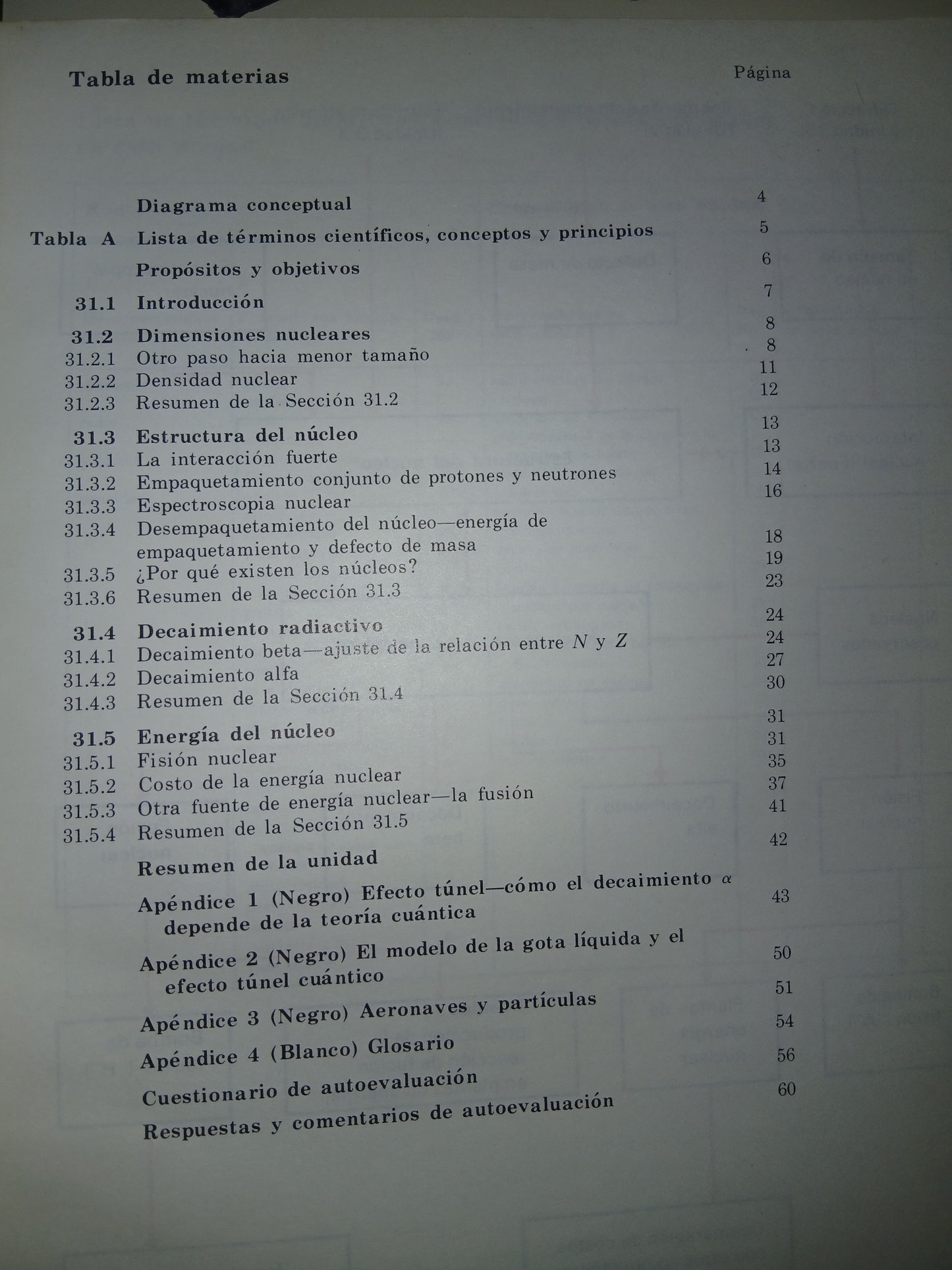 EL NÚCLEO DEL ÁTOMO. PARTÍCULAS ELEMENTALES TRADUCIDO POR DANIEL VEGA USADO QUÍMICA LITERARIO 207
