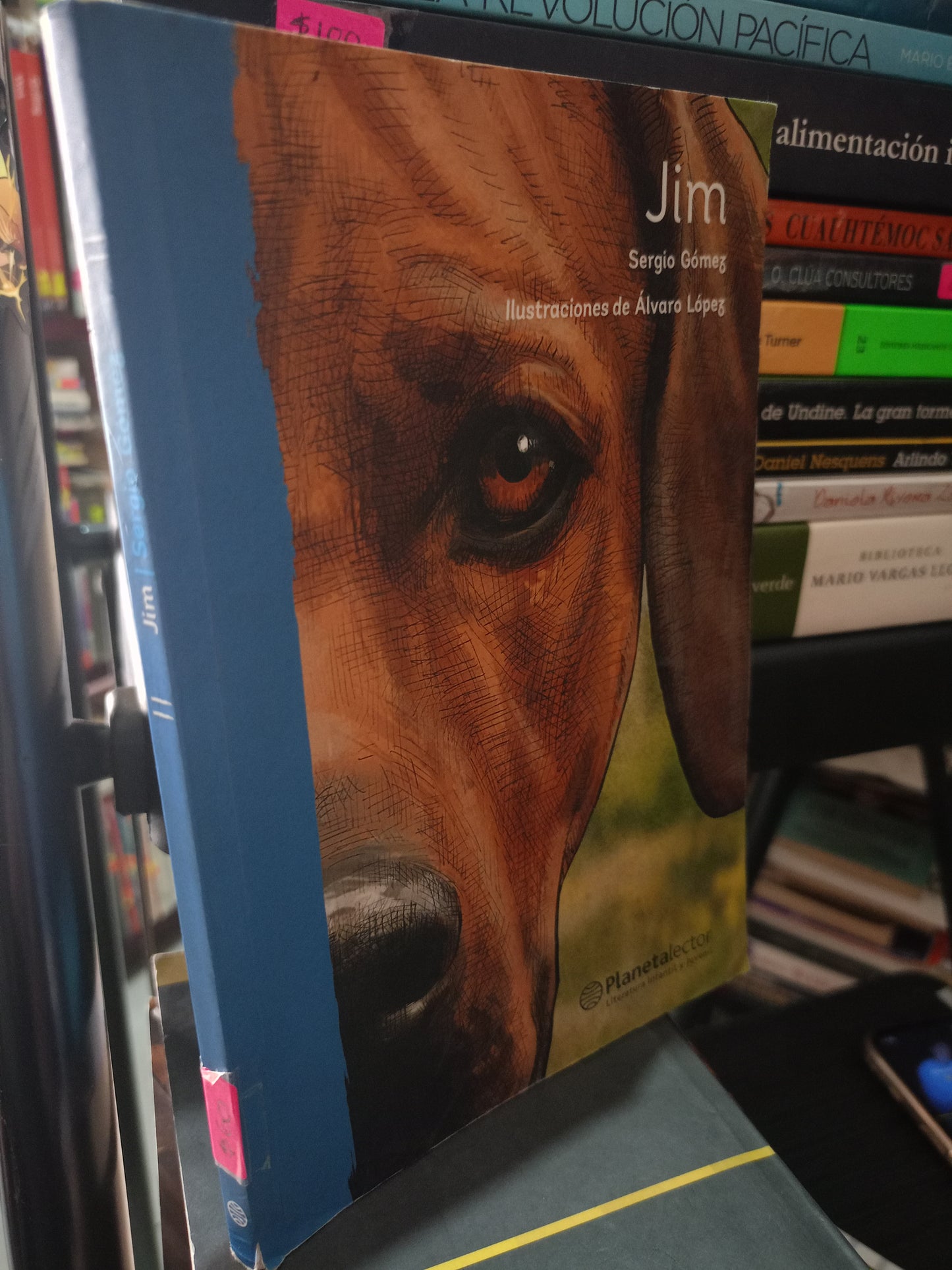JIM POR SERGIO GOMEZ USADO NOVELA LITERARIO 305