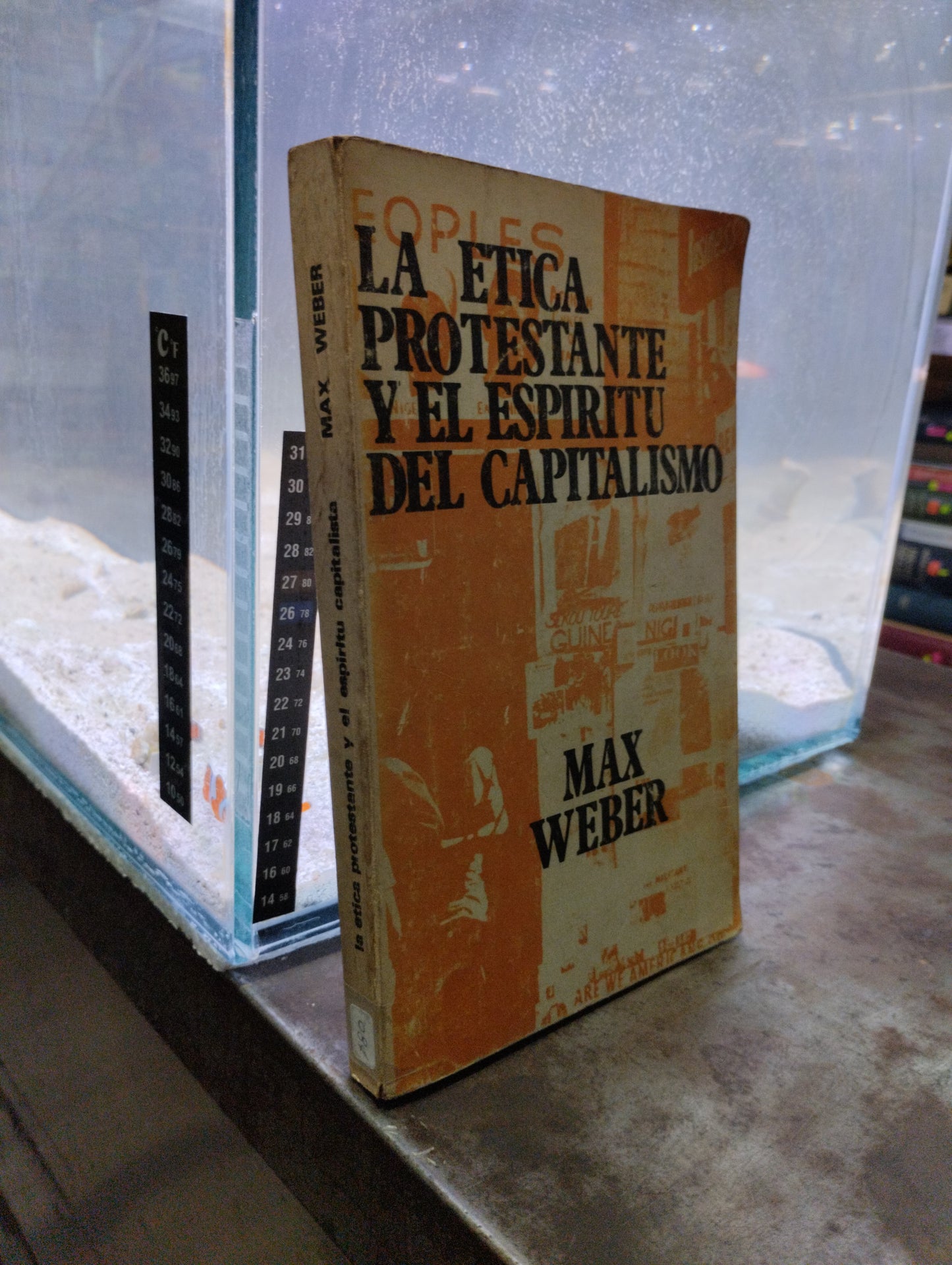 LA ETICA PROTESTANTE Y EL ESPIRITU DEL CAPITALISMO POR MAX WEBER USADO SOCIOLOGIA ALDAMA