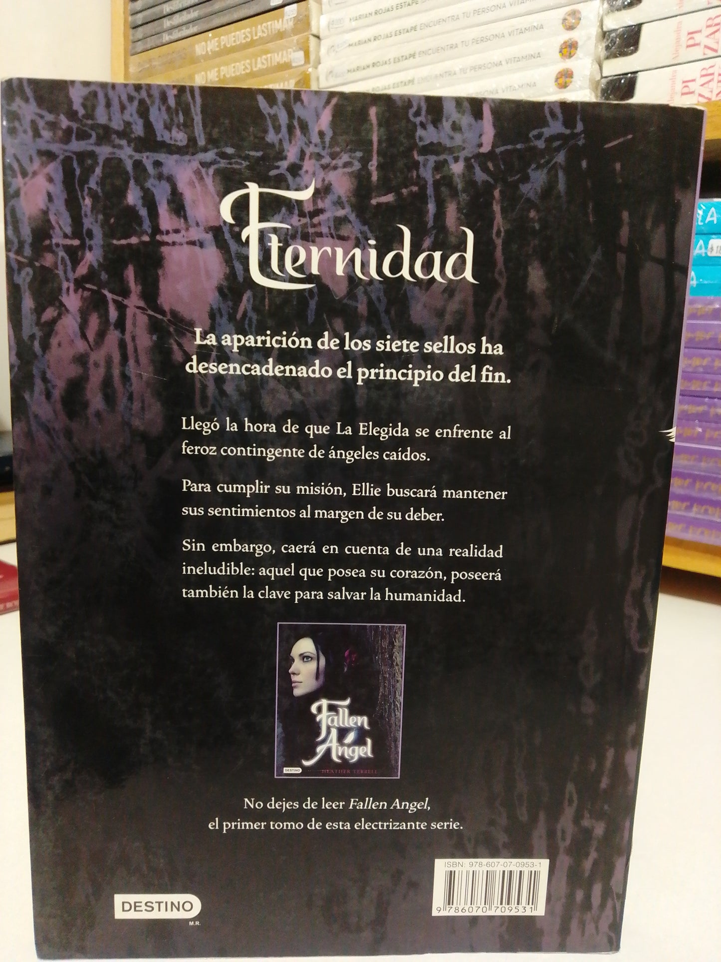 ETERNIDAD POR HEATHER TERRELL USADO NOVELA JUAREZ