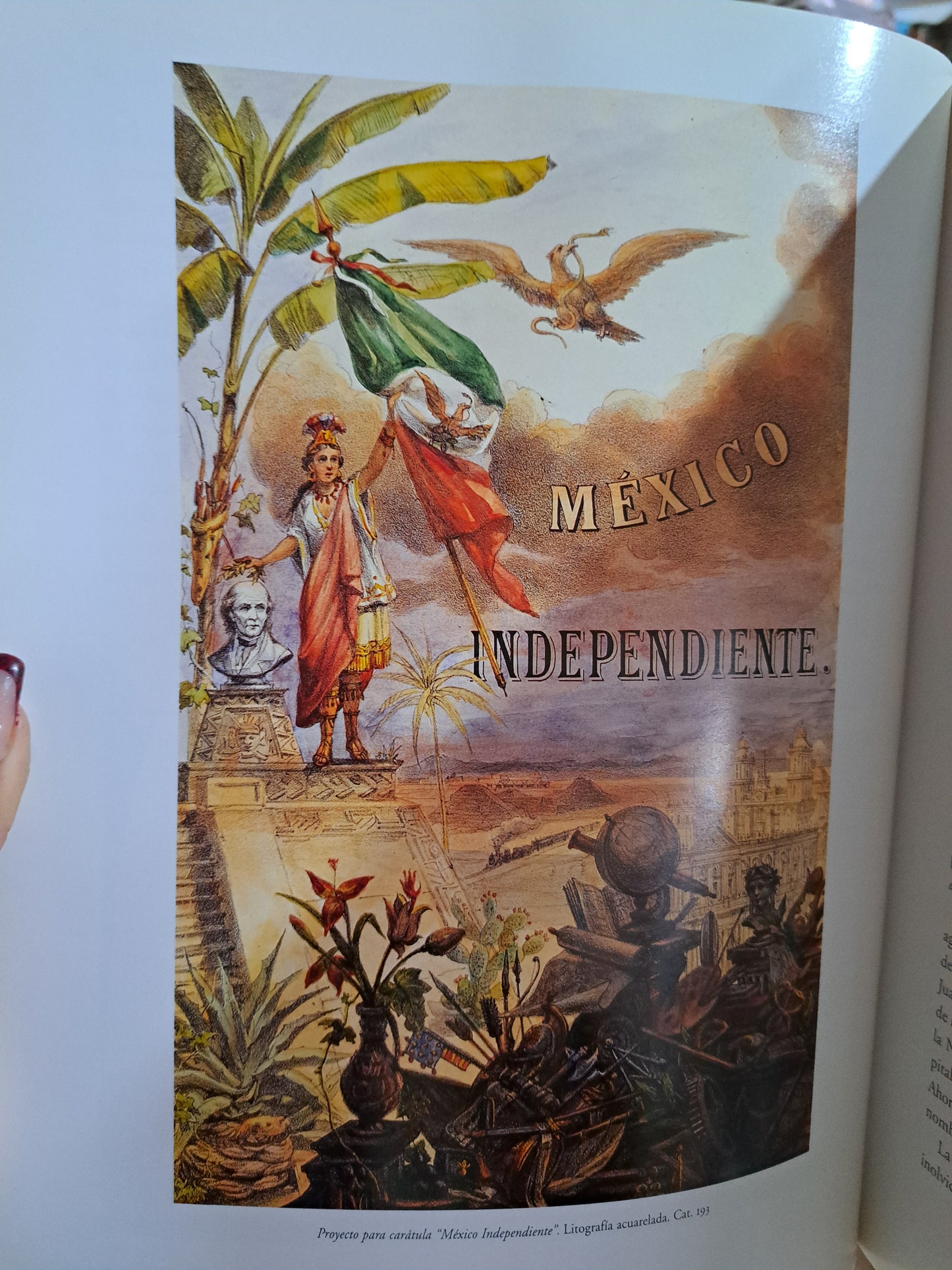 CASIMIRO CASTRO Y SU TALLER CARLOS MONSIVÁIS ET.AL, USADO ESTADO DE MÉXICO ALDAMA