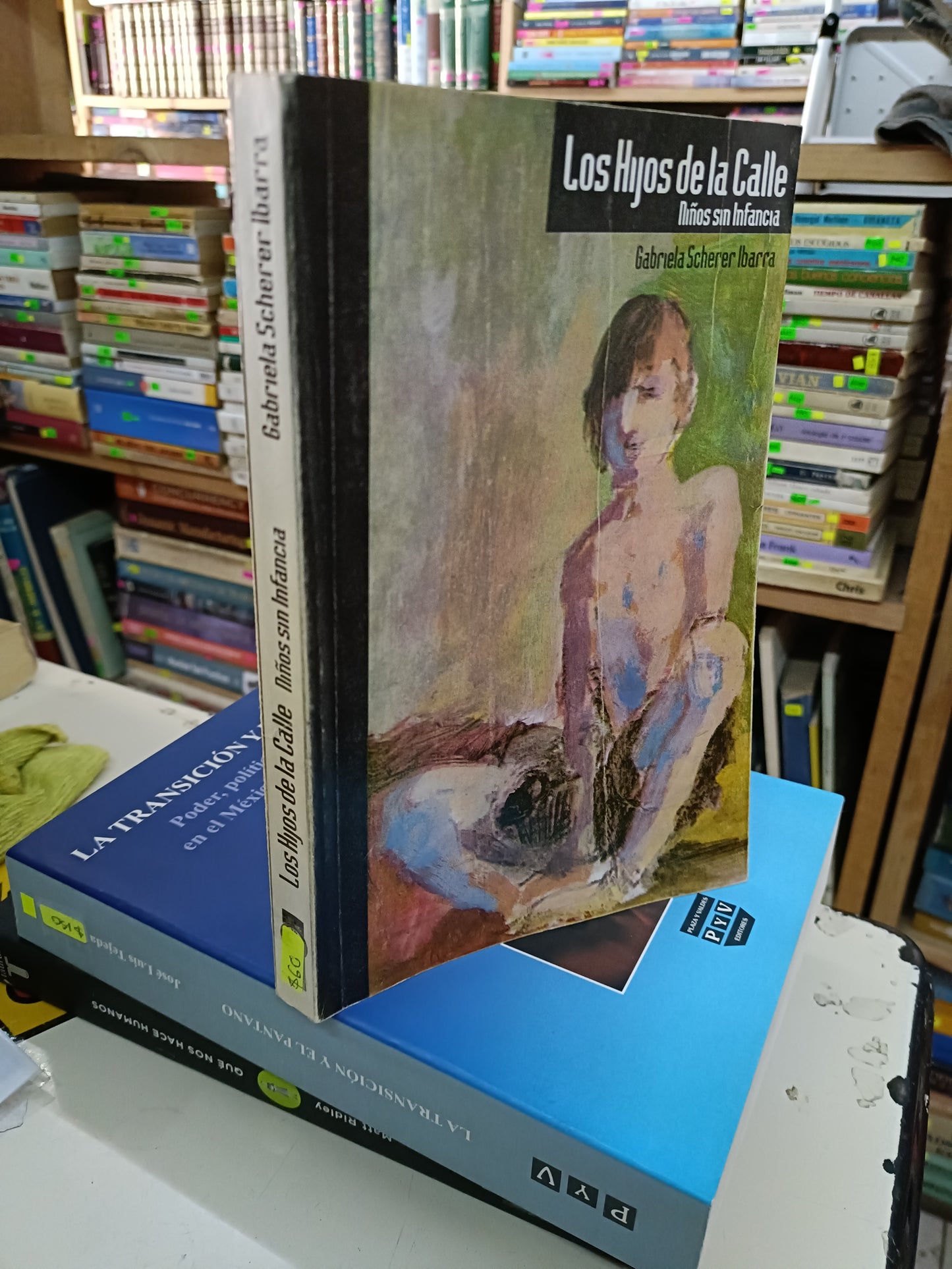 LOS HIJOS DE LA CALLE NIÑOS SIN INFANCIA POR GABRIELA SCHERER IBARRA USADO SOCIOLOGÍA LITERARIO 207