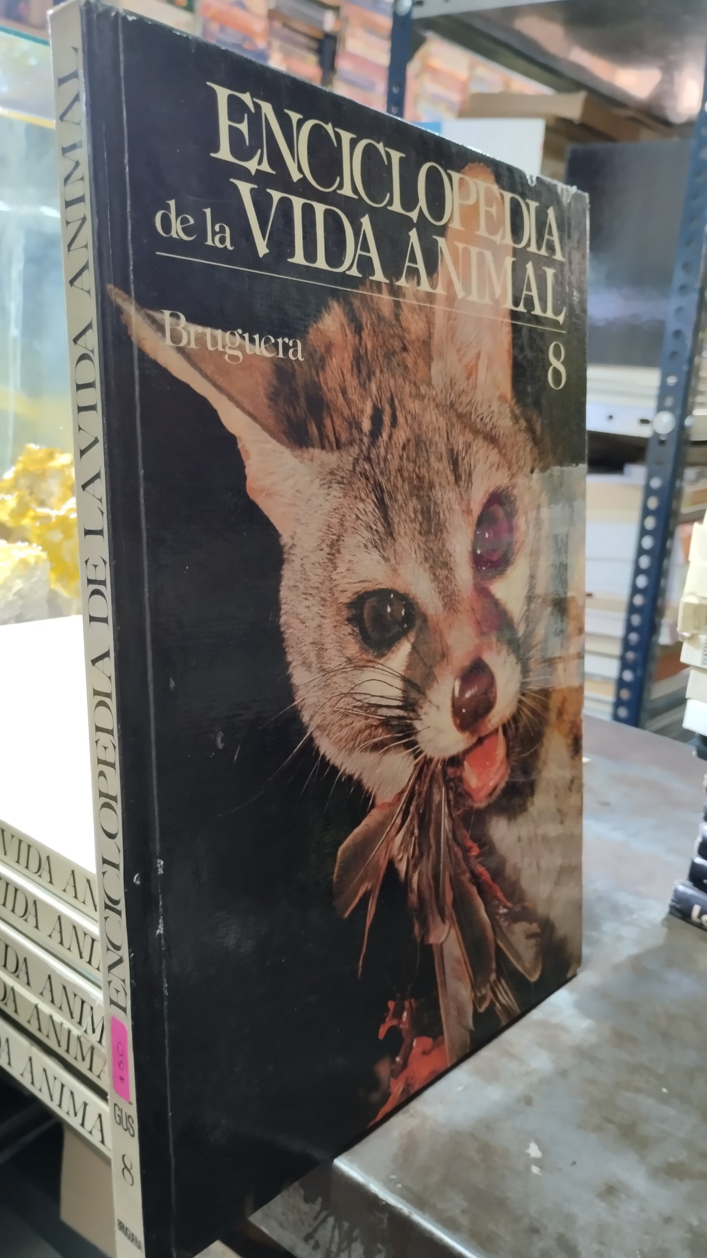 ENCICLOPEDIA DE LA VIDA ANIMAL 8 LIBRO USADO BIOLOGIA ALDAMA