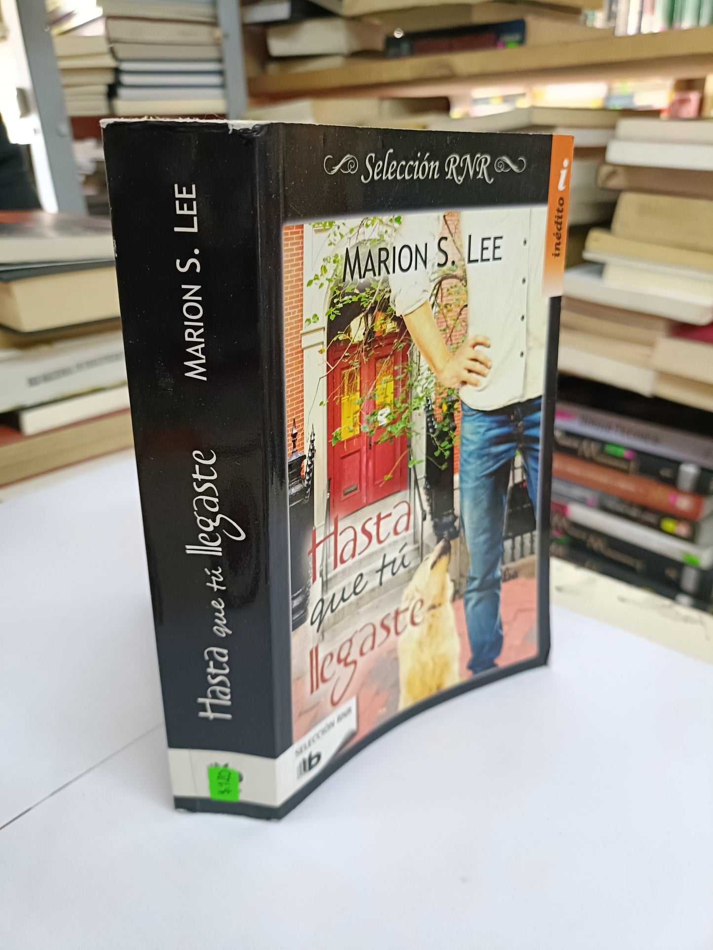 HASTA QUE TU LLEGASTE POR MARION S. LEE USADO NOVELA LITERARIO 207