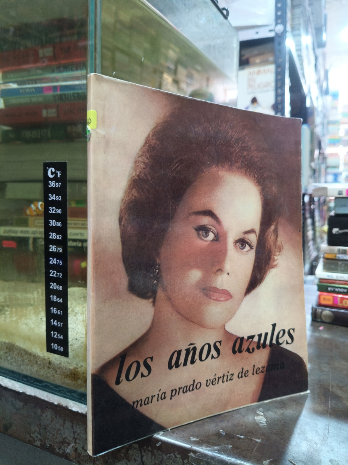 LOS AÑOS AZULES POR MARÍA PRADO VERTIZ DE LEZAMA USADO NOVELA ALDAMA