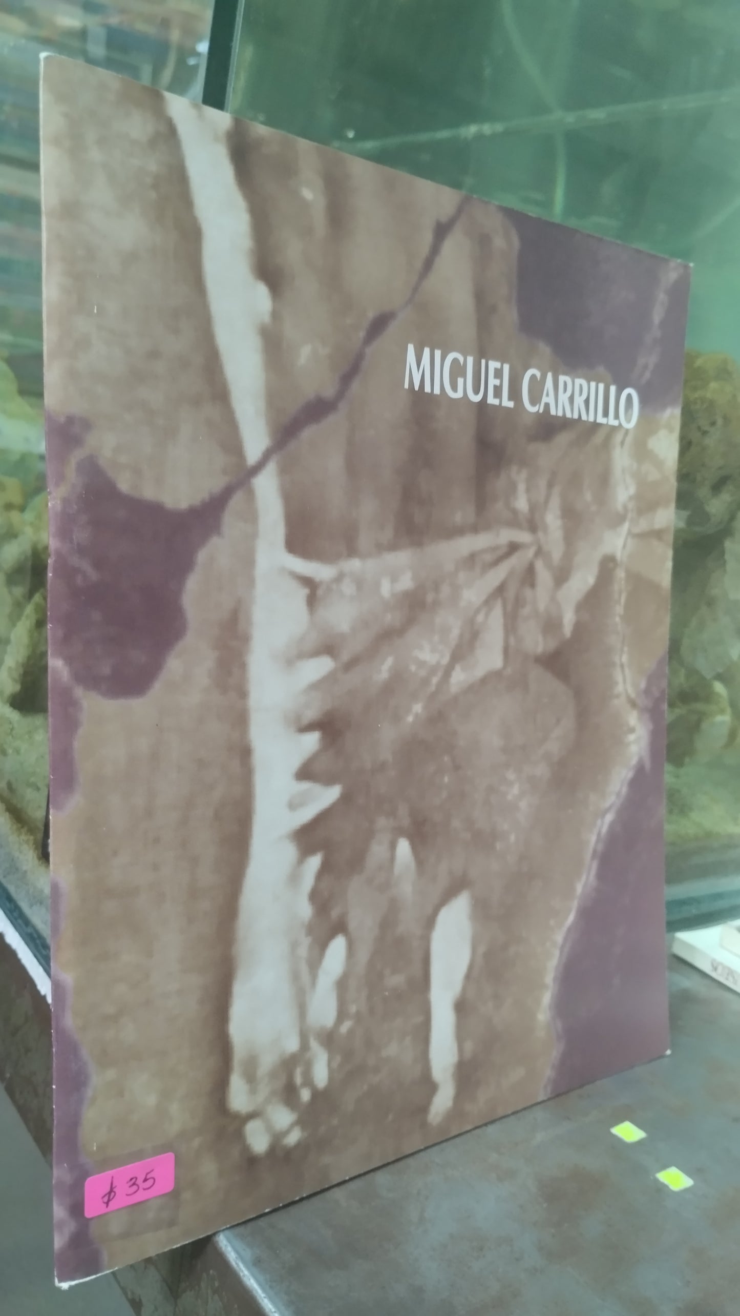MIGUEL CARRILLO LIBRO USADO ARTE ALDAMA
