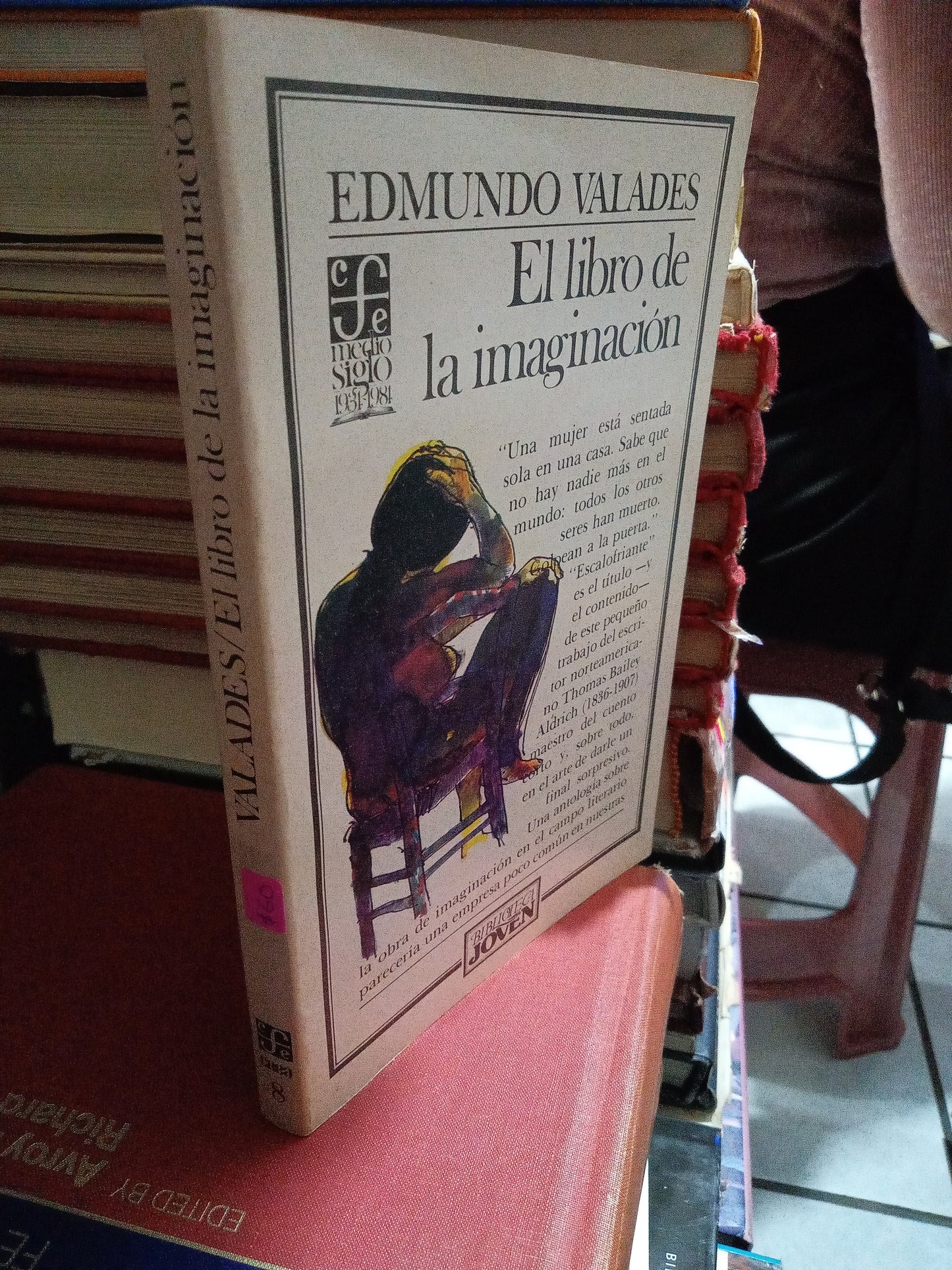 EL LIBRO DE LA IMAGINACION POR EDMUNDO VALADES USADO NOVELA JUAREZ