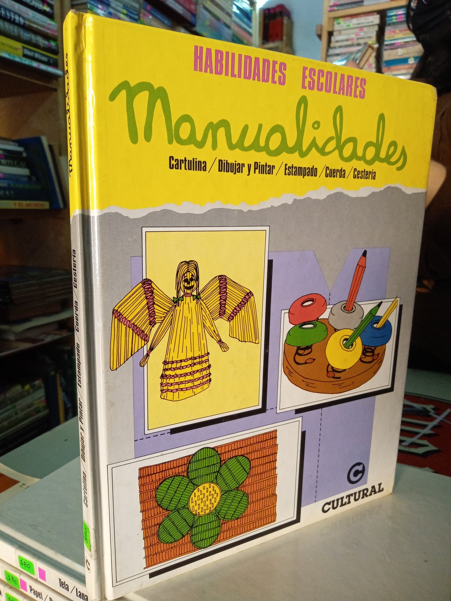 HABILIDADES ESCOLARES MANUALIDADES CARTULINA DIBUJAR PINTAR ESTAMPADO CUERDA CESTERIA USADO OFICIOS LITERARIO 207