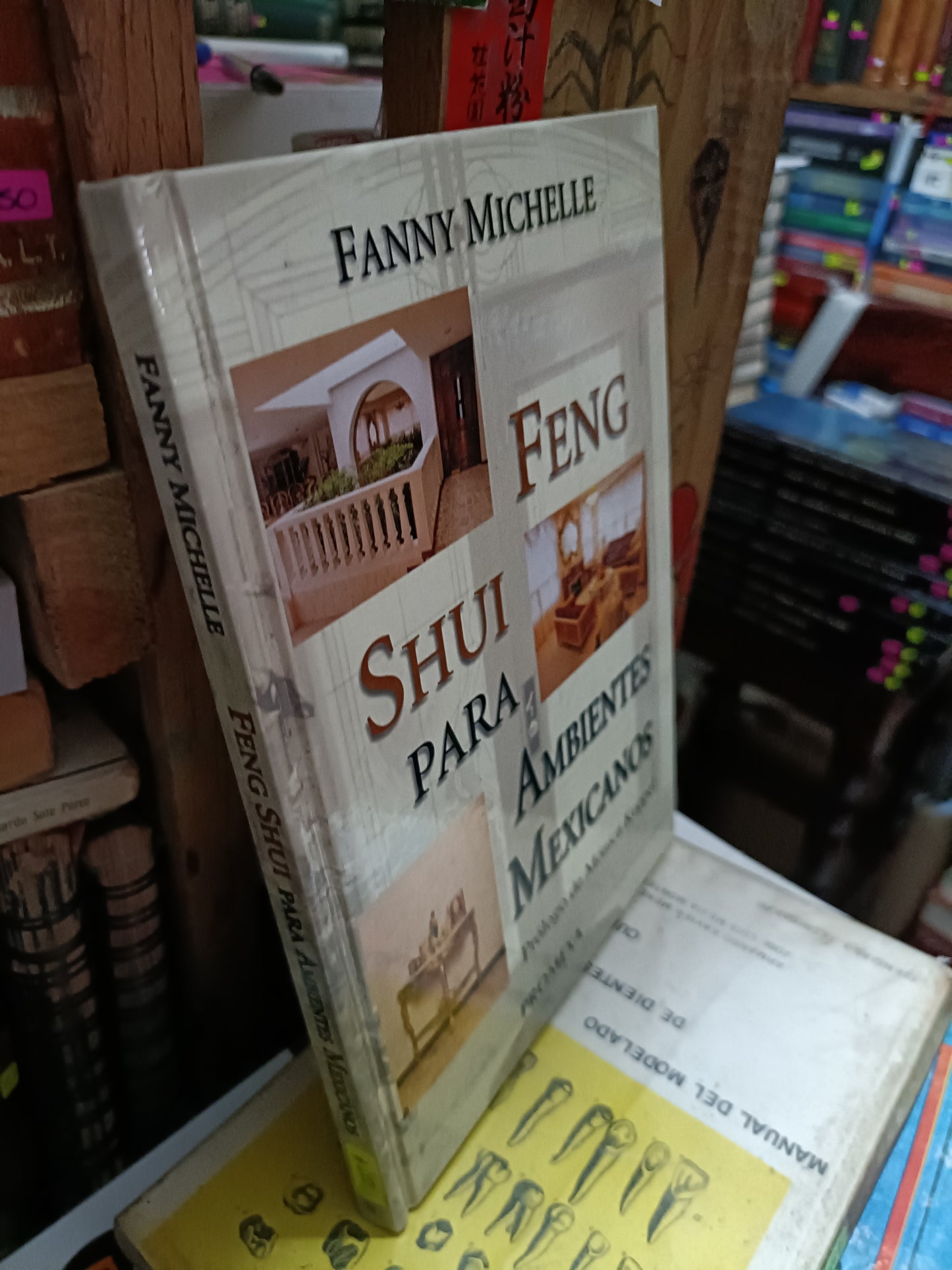 FENG SHUI PARA AMBIENTES MEXICANOS POR FANNY MICHELLE USADO SUPERACION PERSONAL LITERARIO 305