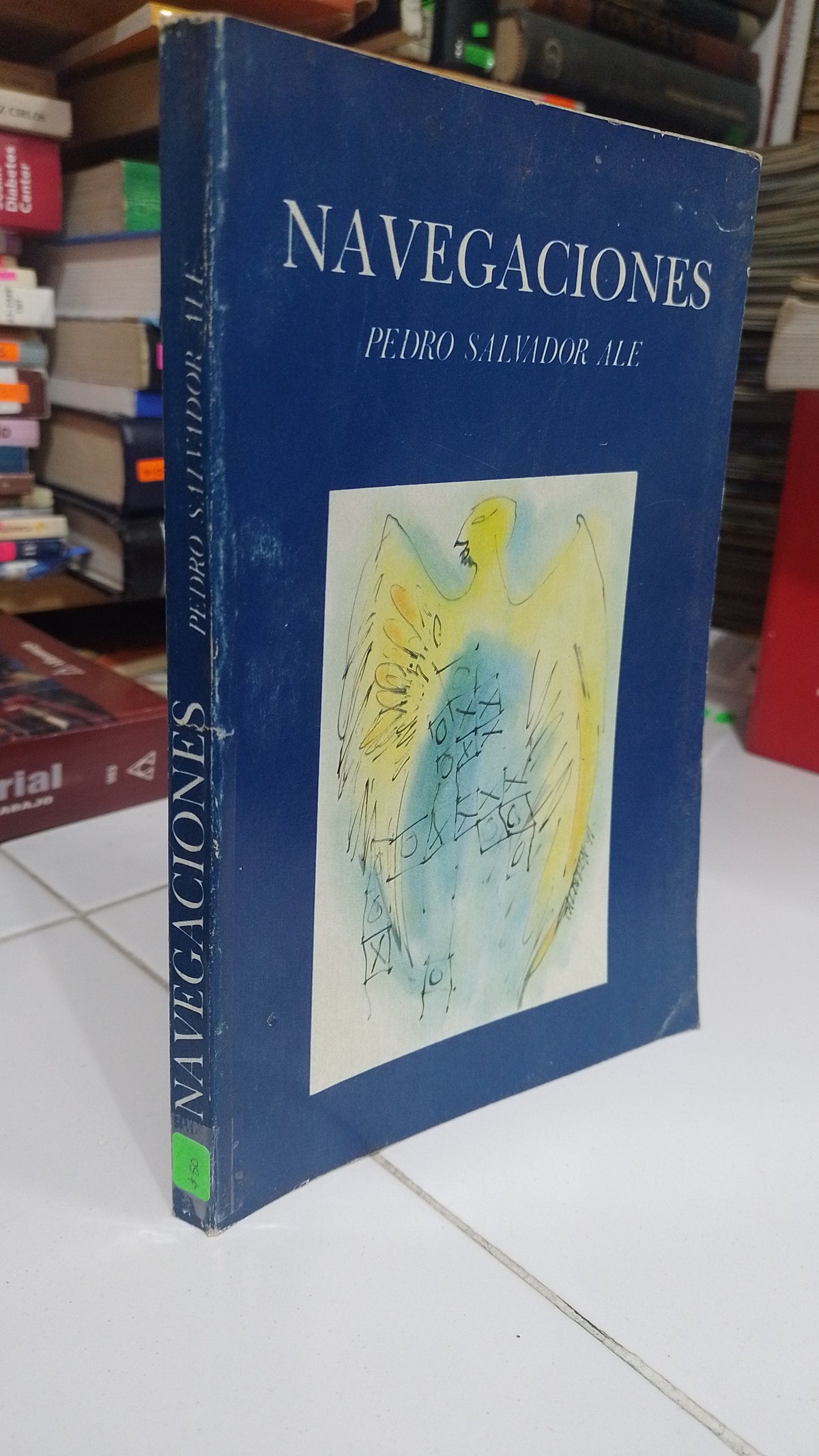 NAVEGACIONES POR PEDRO SALVADOR ALE USADO POESIA JUAREZ 507